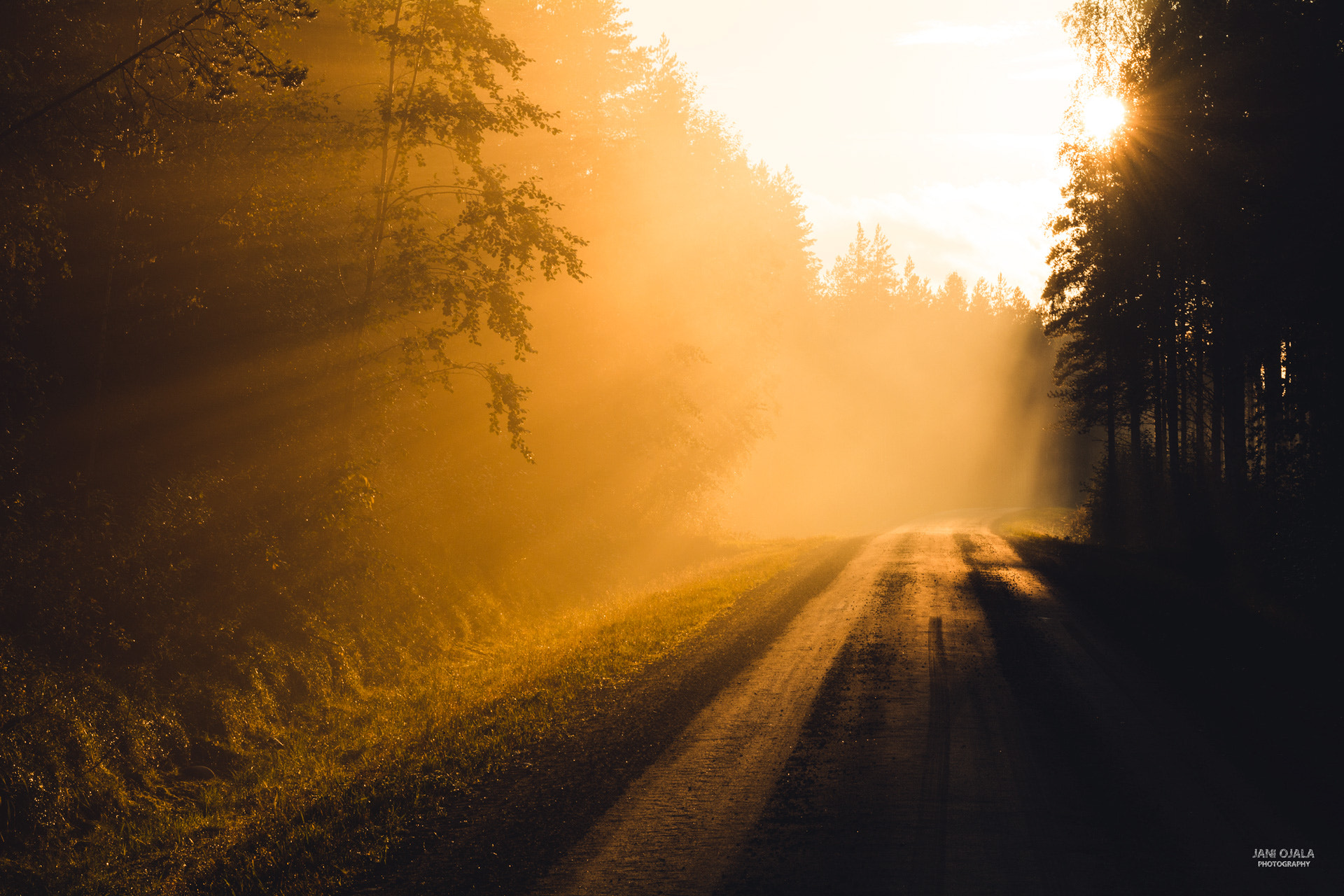 Nikon AF-S Nikkor 70-200mm F2.8G ED VR II sample photo. Mystic forest road photography