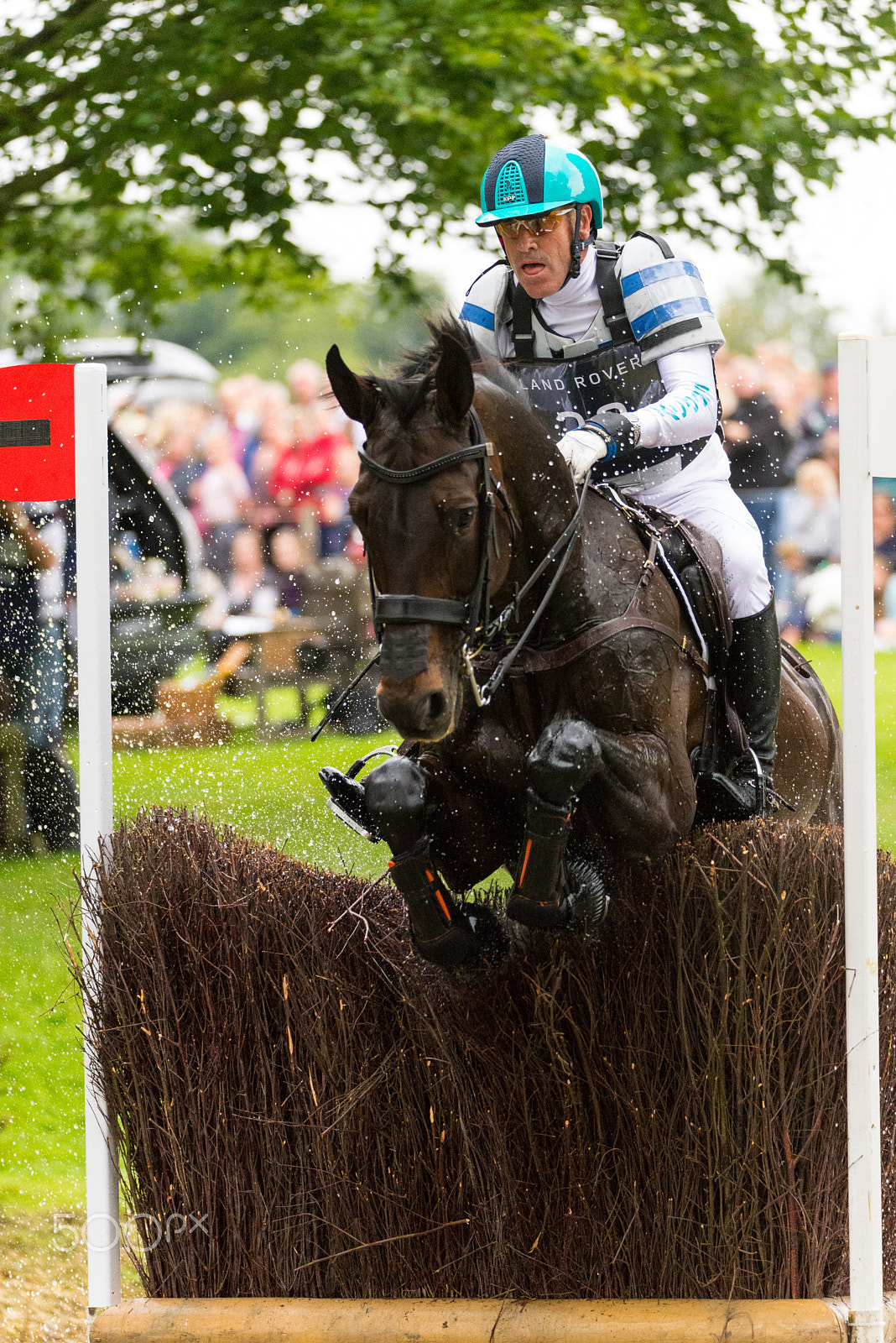 Sigma 150-600mm F5-6.3 DG OS HSM | S sample photo. Burlegh horse trials 2016 photography