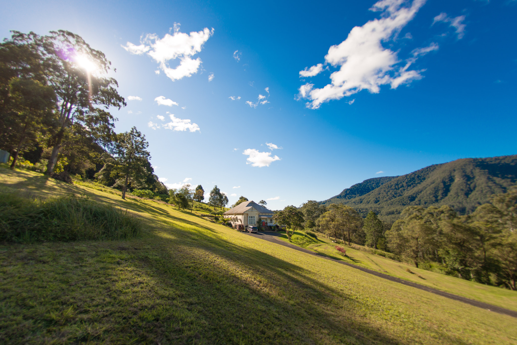 Nikon D800 + Nikon AF Fisheye-Nikkor 16mm F2.8D sample photo. Nimbin australia photography