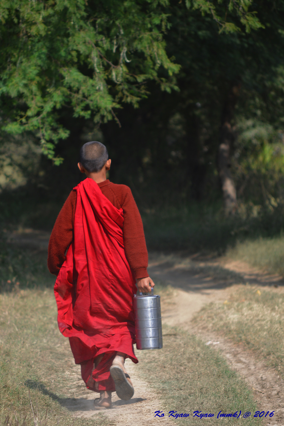 PC Micro-Nikkor 85mm f/2.8D sample photo. Burmese novice  photography