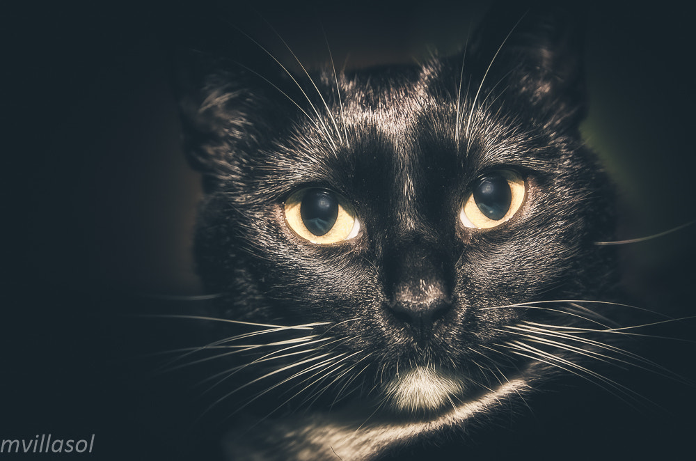 Sigma 24-70mm F2.8 EX DG HSM sample photo. She photography
