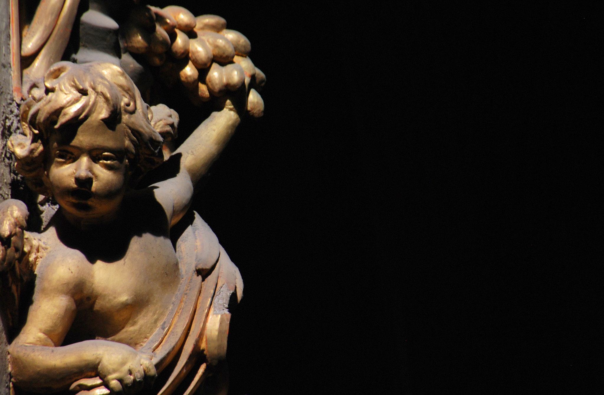Nikon D80 sample photo. Bacchus photography
