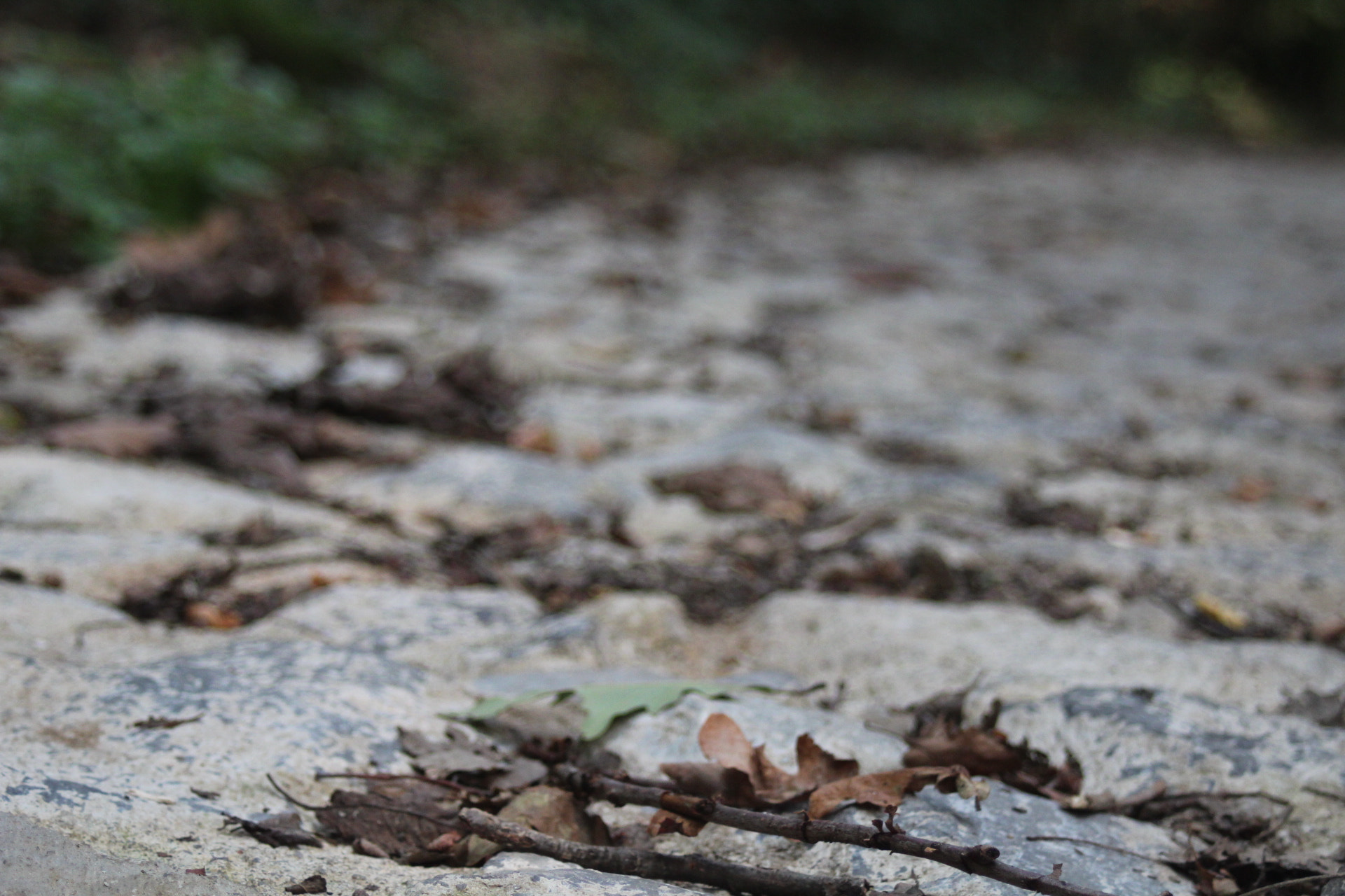 Canon EF 35-80mm f/4-5.6 sample photo. September photography