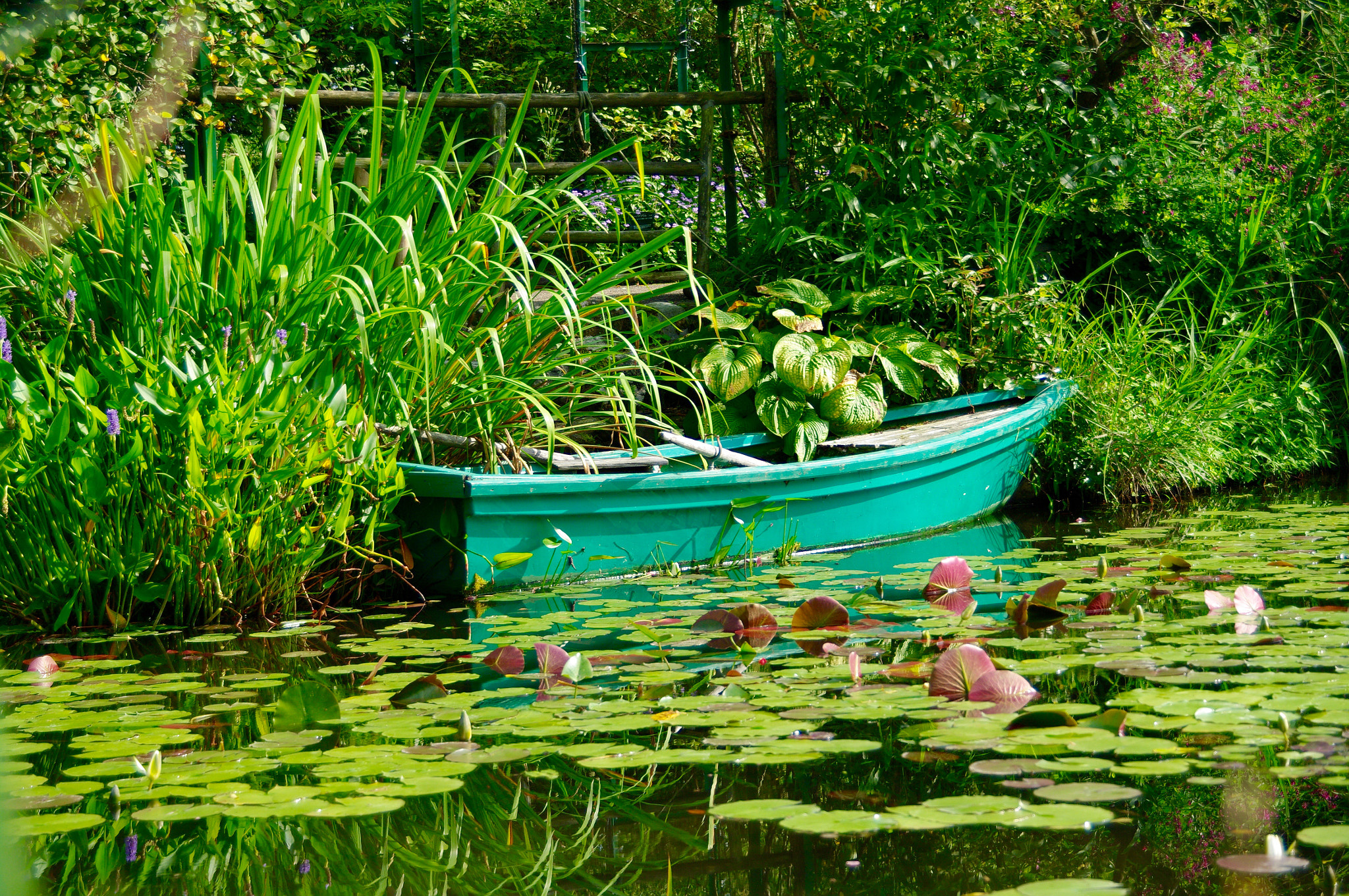 Pentax K20D sample photo. Green photography