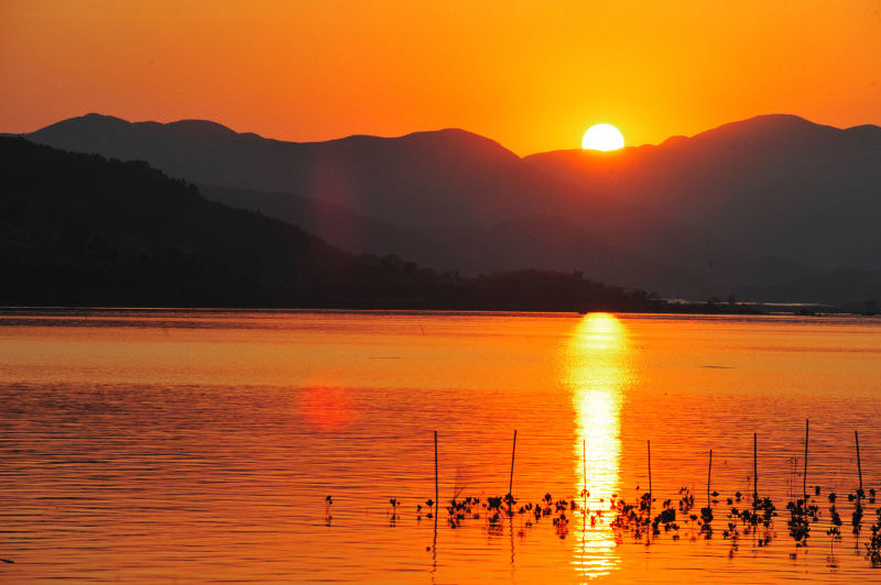 AF-S Zoom-Nikkor 80-200mm f/2.8D IF-ED sample photo