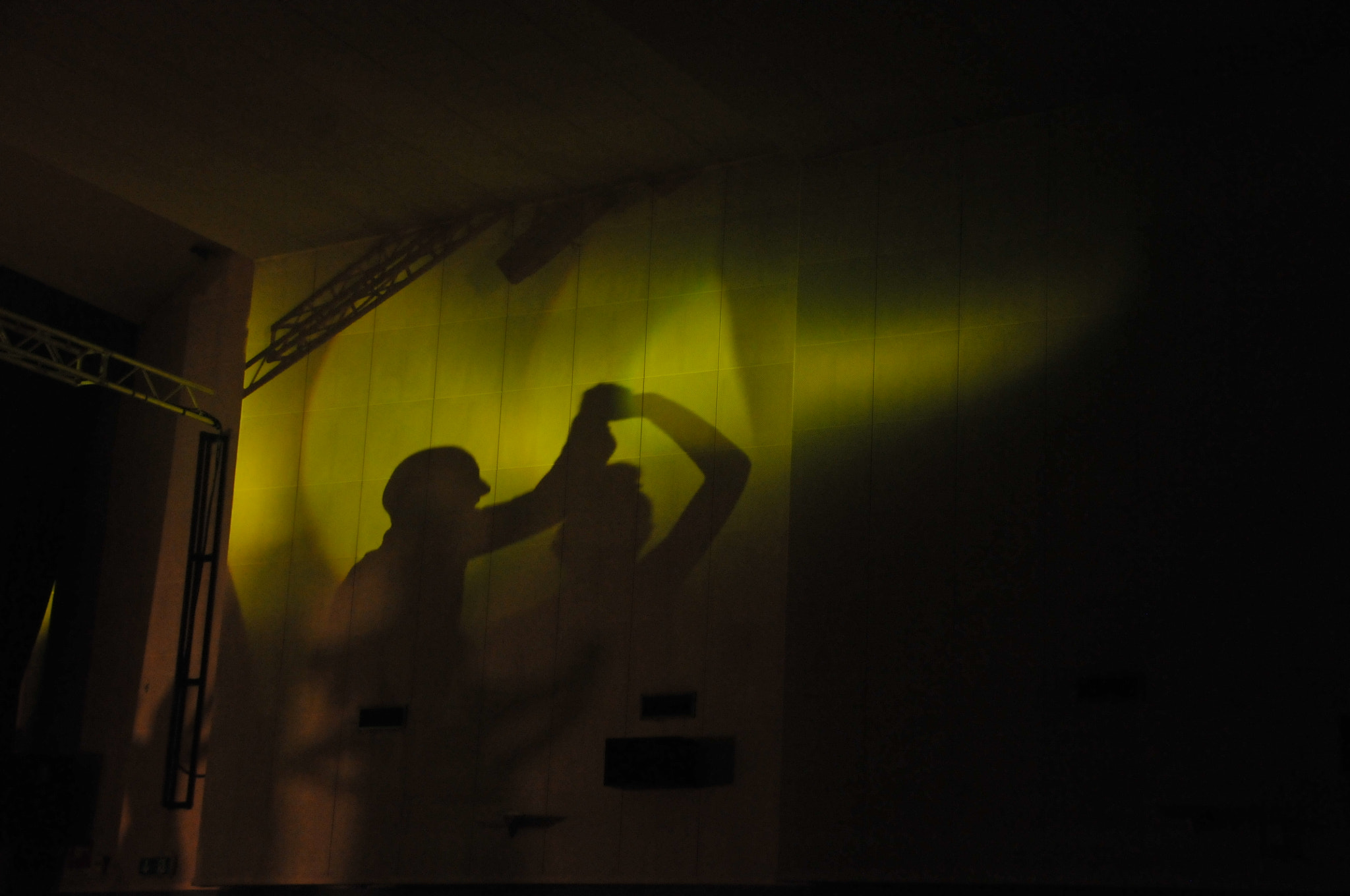 Nikon D300 sample photo. They dance alone... photography