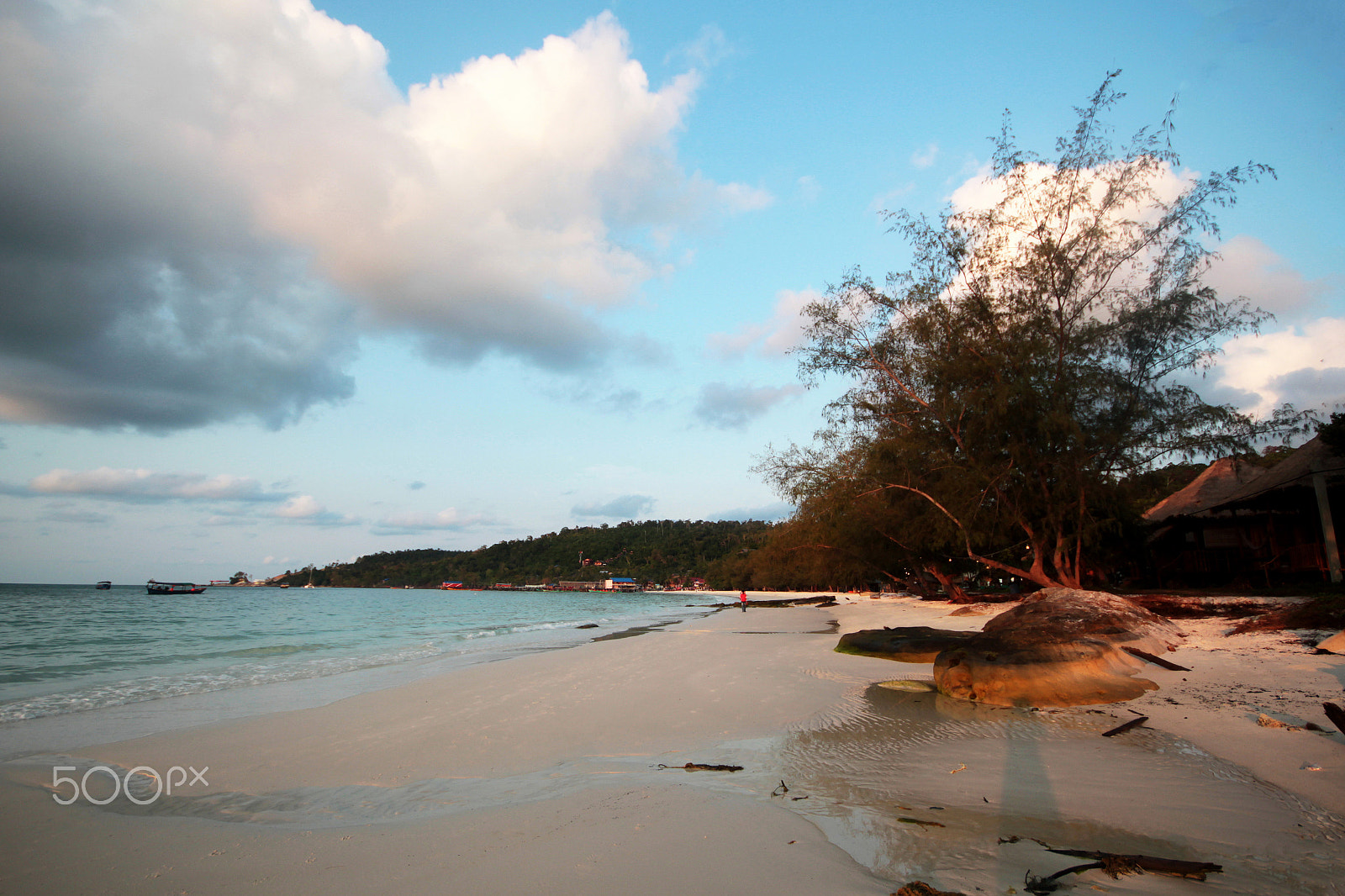 Sigma 10-20mm F4-5.6 EX DC HSM sample photo. Koh rong beach crazy tree photography