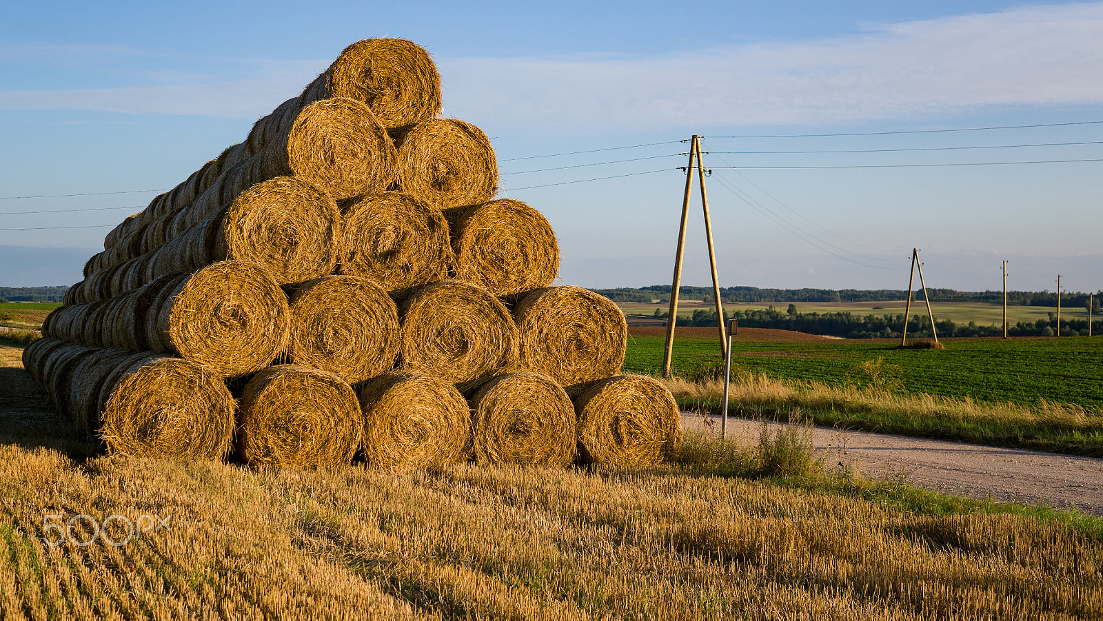 Sony Alpha NEX-6 + Sigma 30mm F2.8 EX DN sample photo. Autumn rural landscape photography