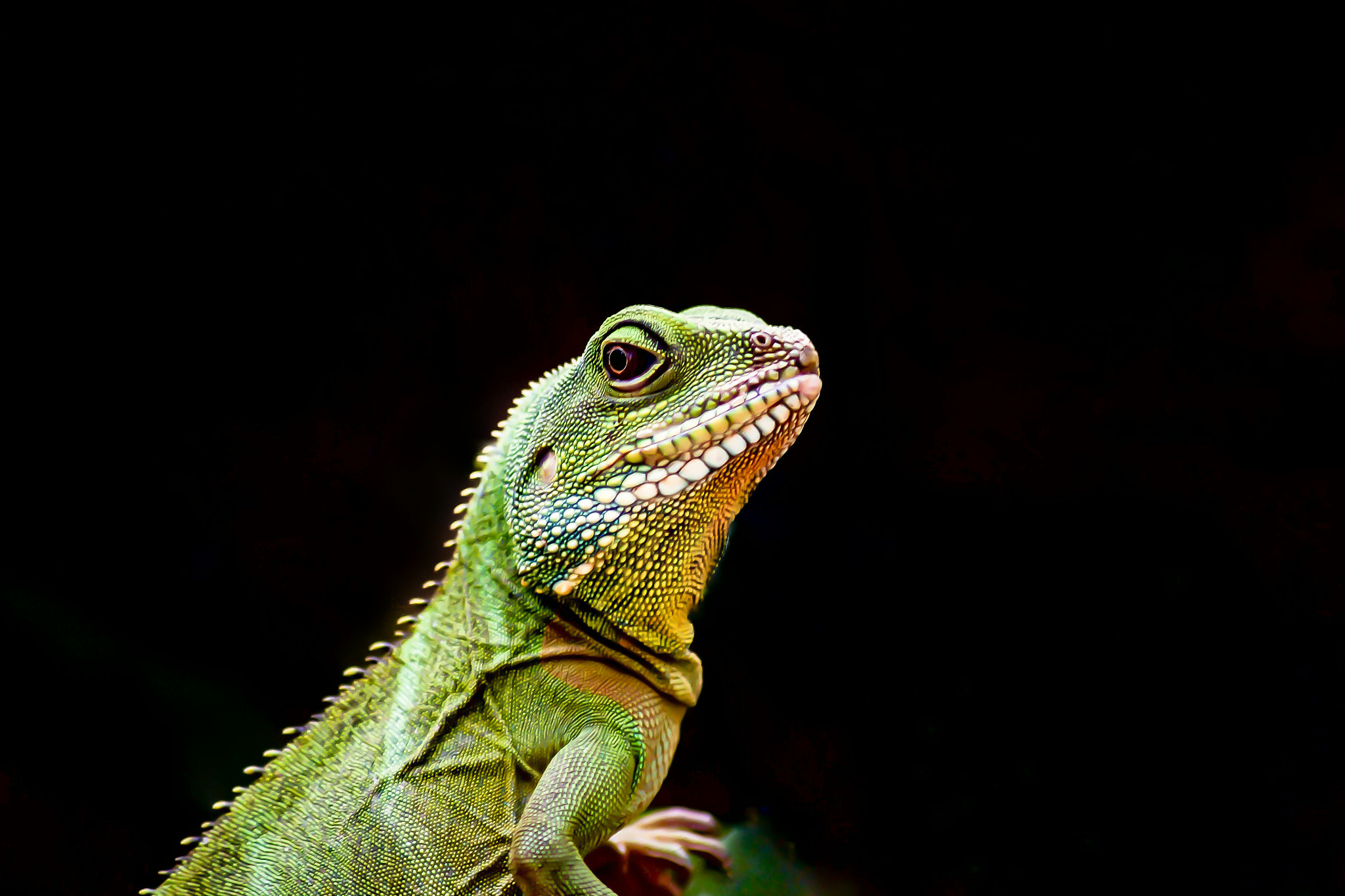 Canon EOS 5D sample photo