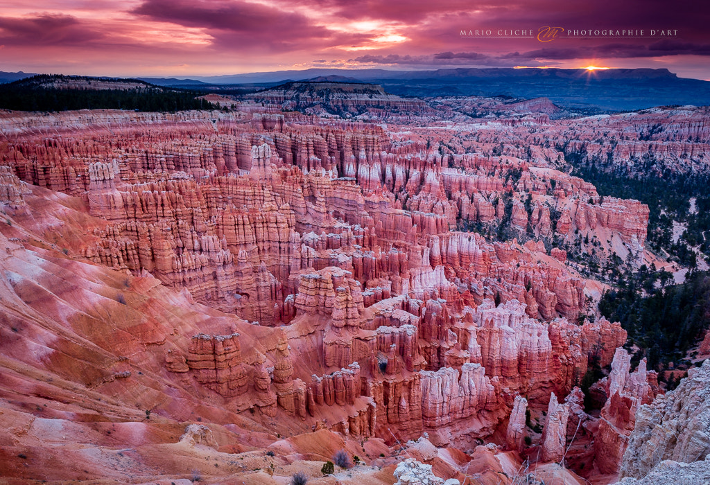 Canon EOS 5DS + Canon EF 24-70mm F2.8L USM sample photo. Lever de soleil sur bryce photography