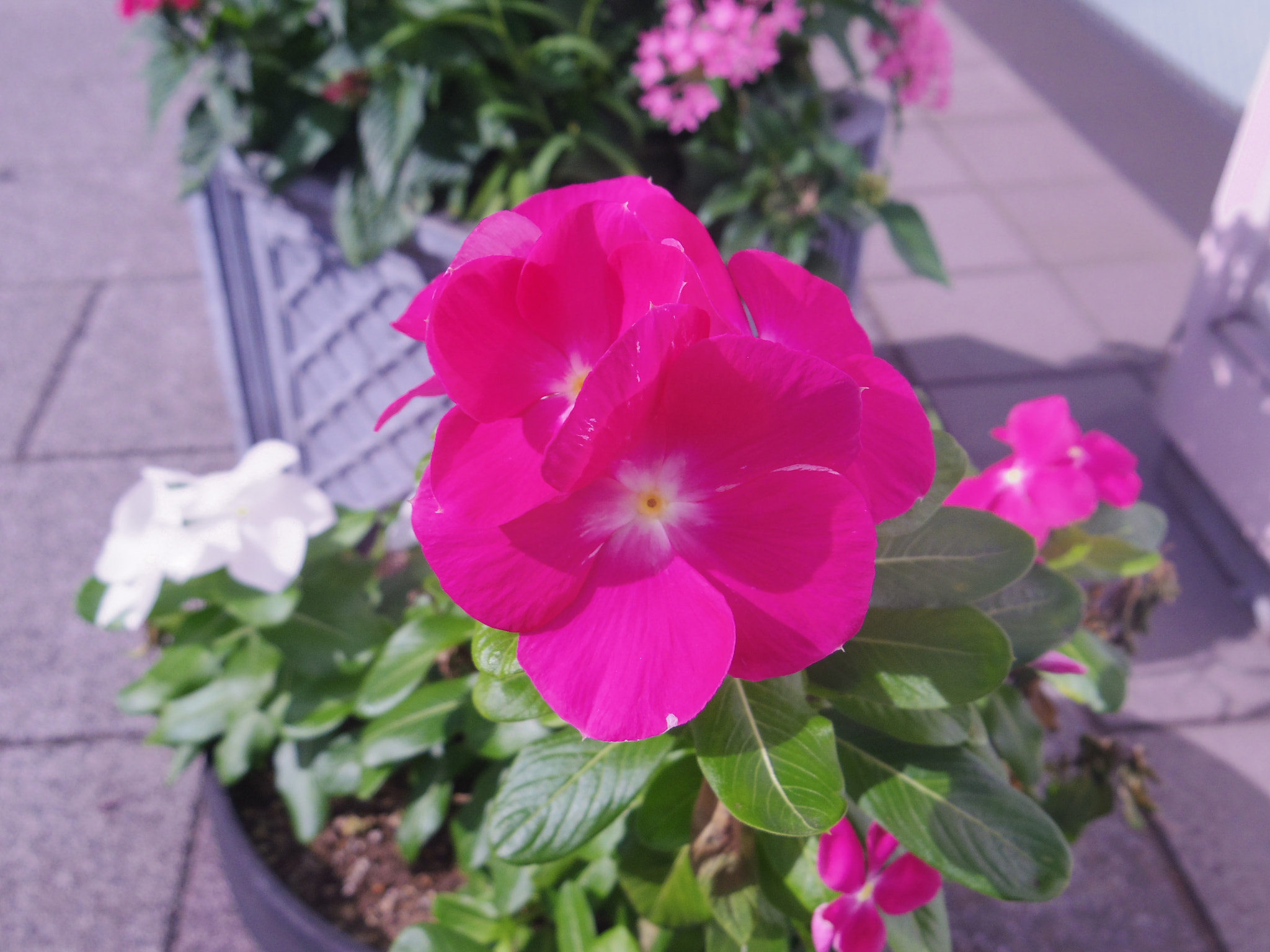 Pentax 02 Standard Zoom sample photo. On the way to work photography