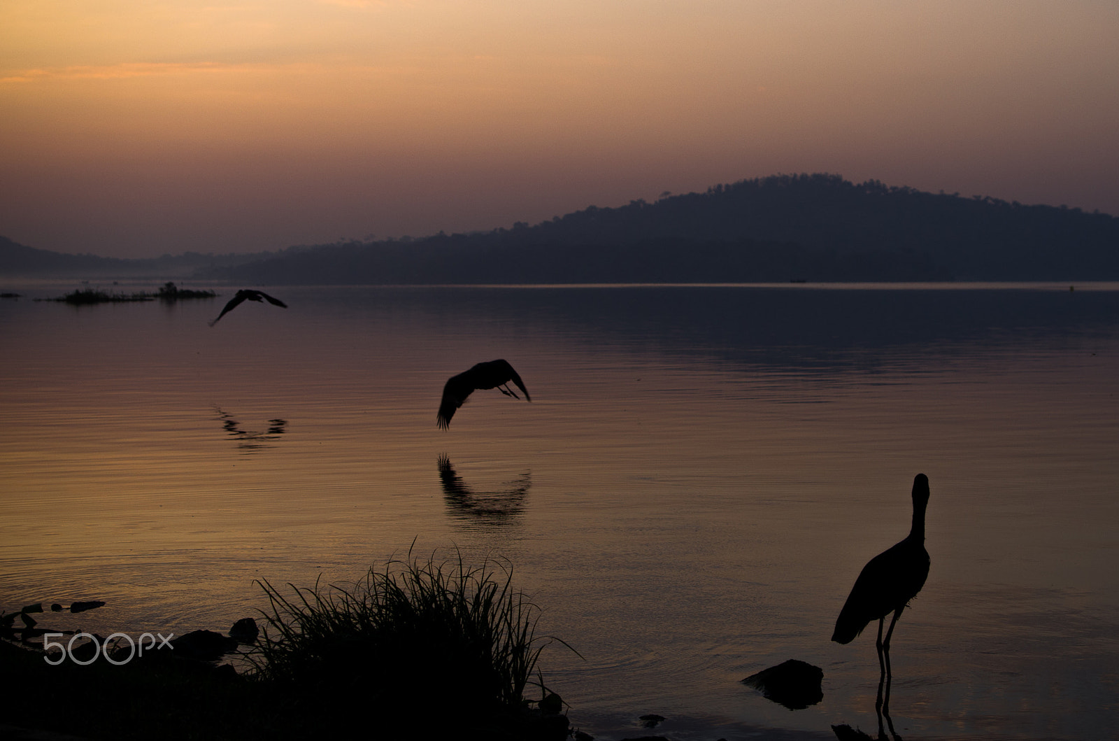 Pentax K-01 sample photo. One, two and three photography