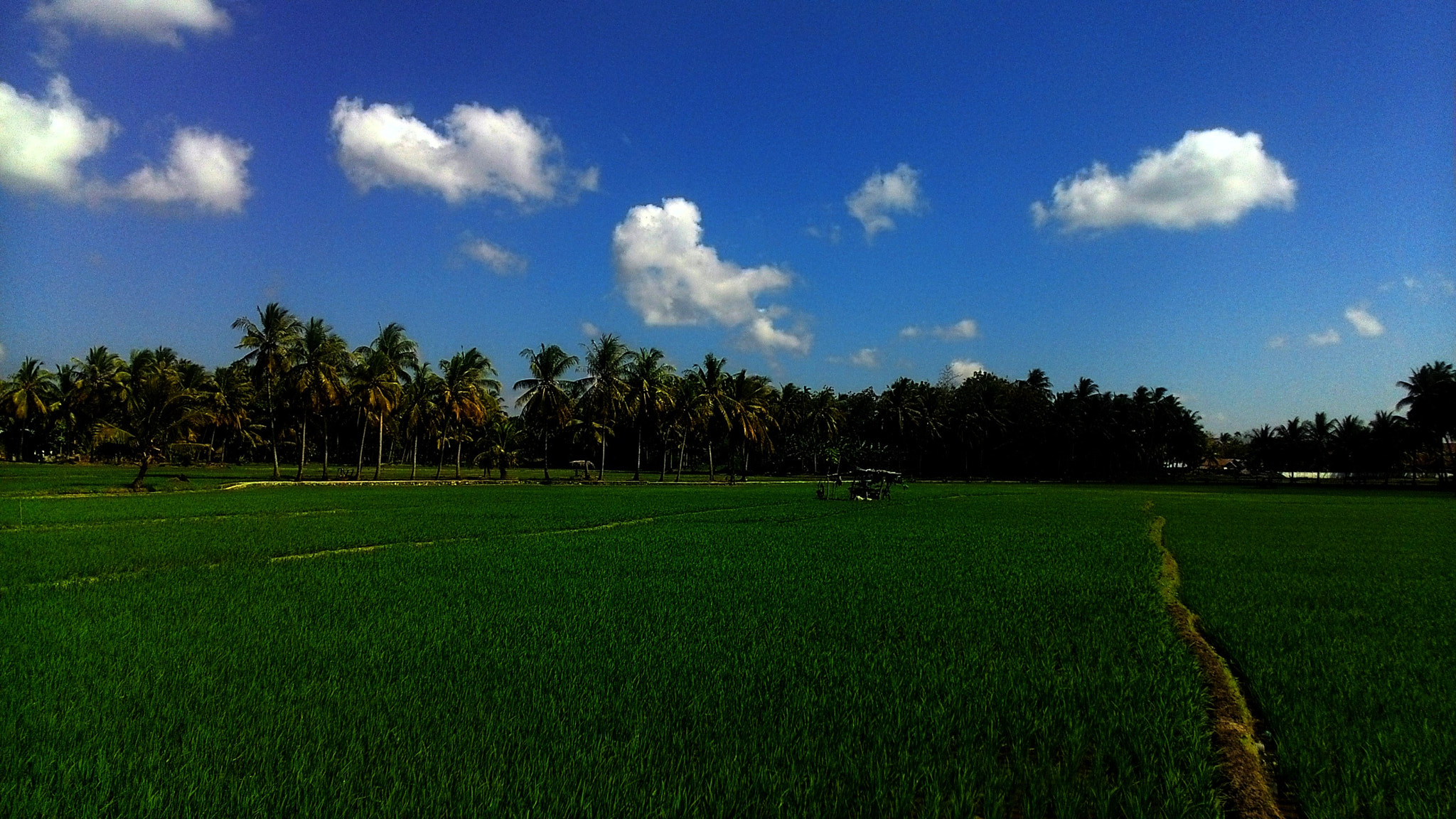 ASUS ZenFone 4 (A450CG) sample photo. Untitled photography