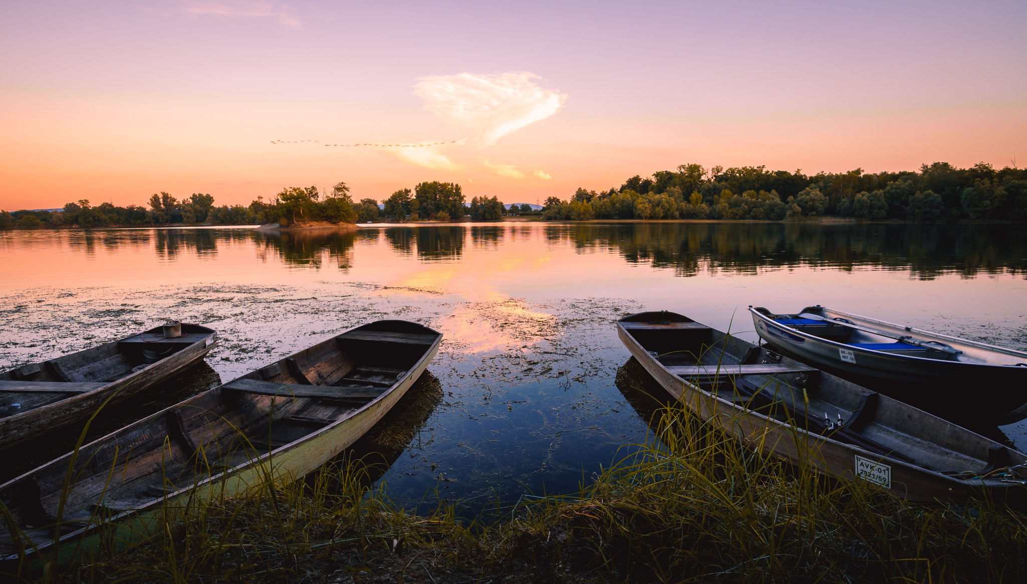 Tamron 18-270mm F3.5-6.3 Di II PZD sample photo. Fermasee photography