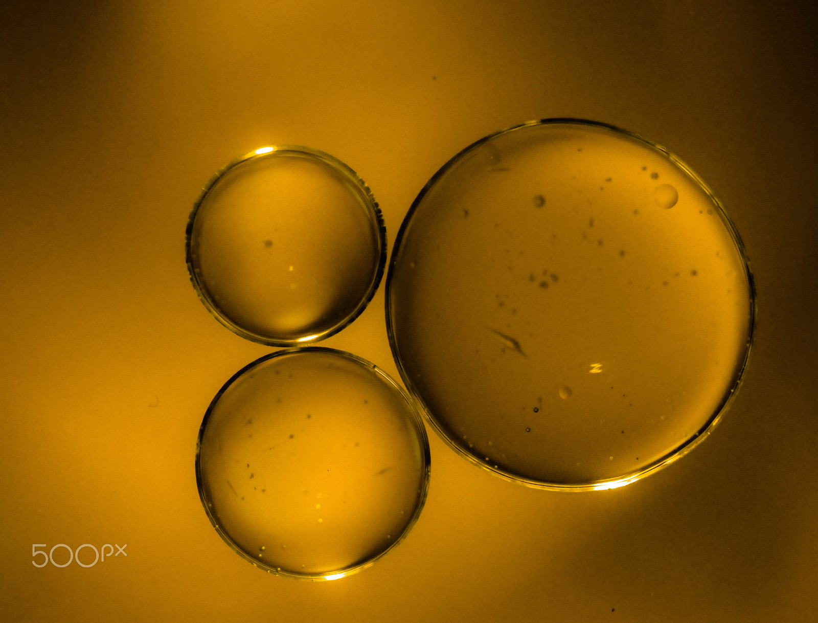 Canon EF-S 60mm F2.8 Macro USM sample photo. Oil and water yellow photography