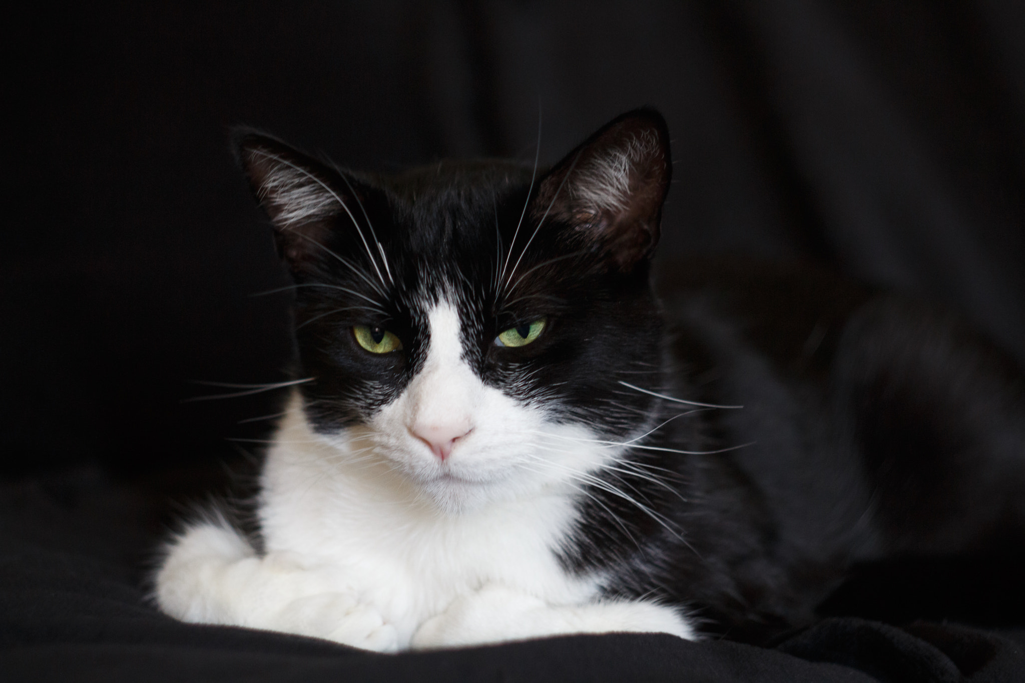Canon EF 35-80mm f/4-5.6 sample photo. I'm listening to you photography