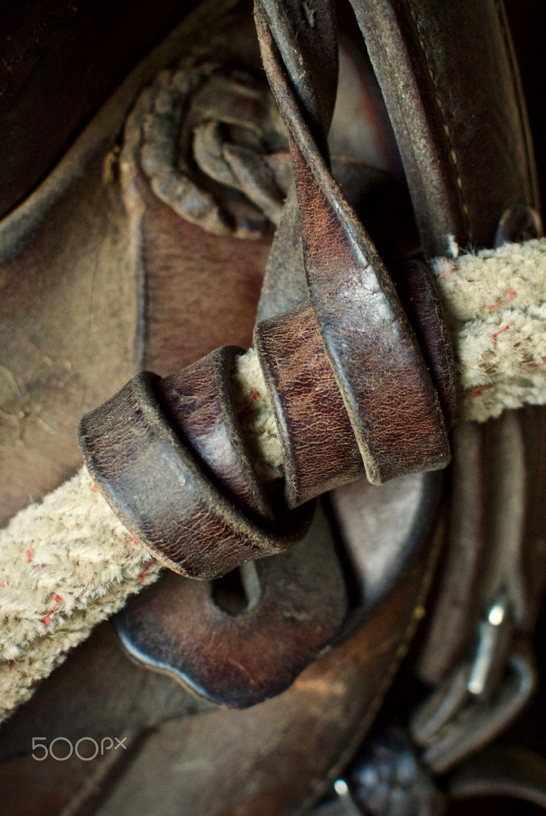 Nikon 1 J2 + Nikon 1 Nikkor 18.5mm F1.8 sample photo. Saddle and rope photography