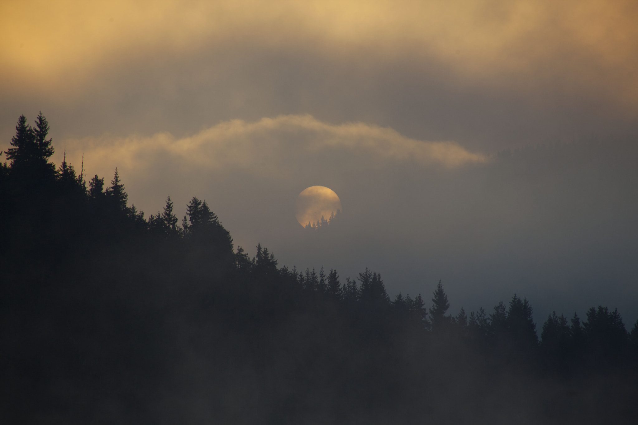 Canon EF 75-300mm f/4-5.6 USM sample photo. Beglik photography