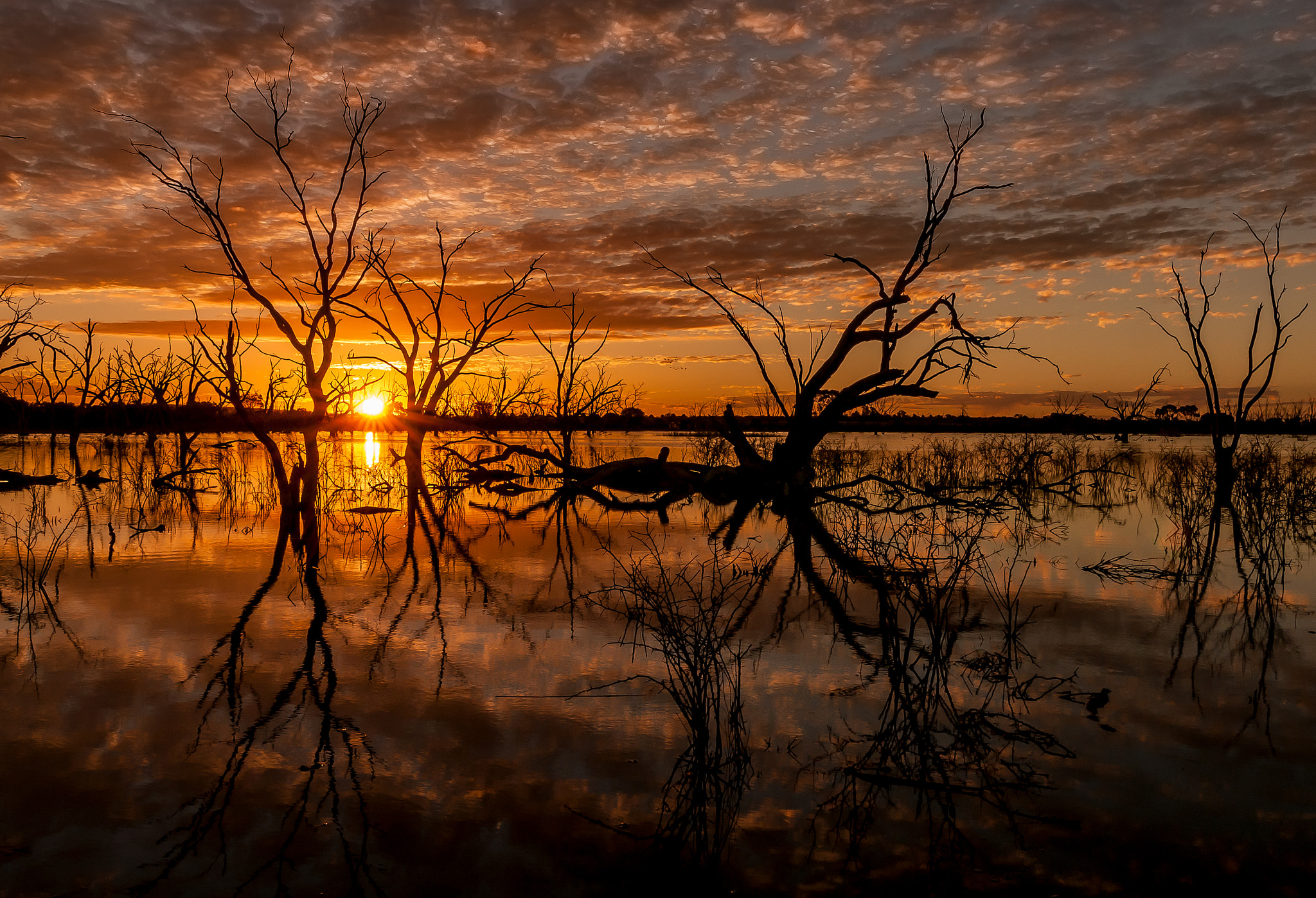 Nikon D300S sample photo. Sunset photography