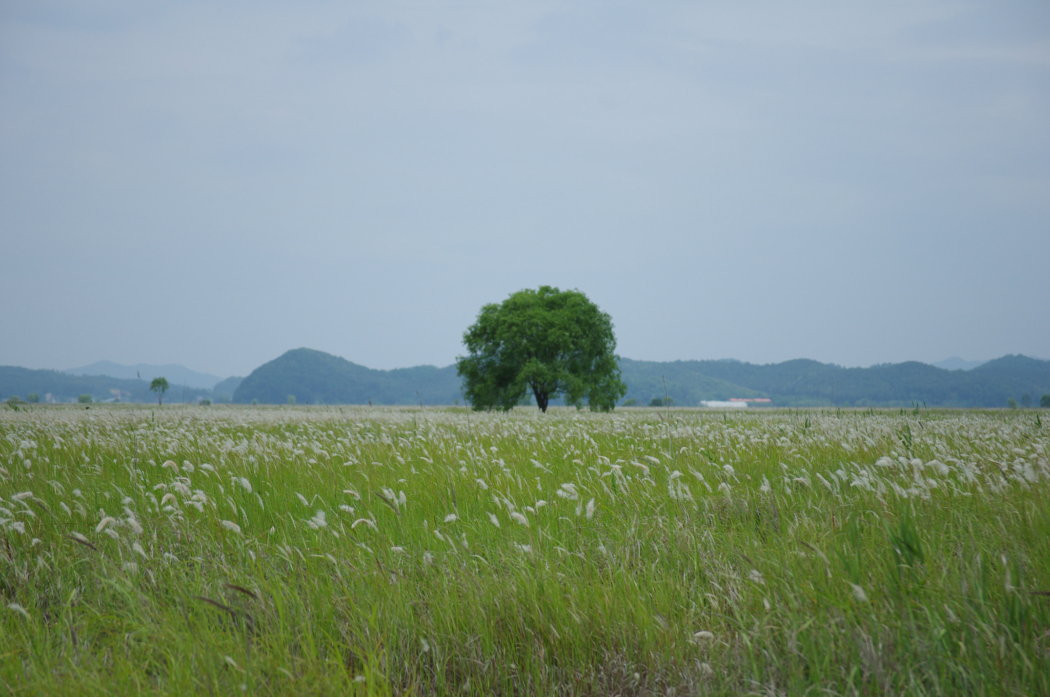 Pentax smc DA 17-70mm F4.0 AL (IF) SDM sample photo