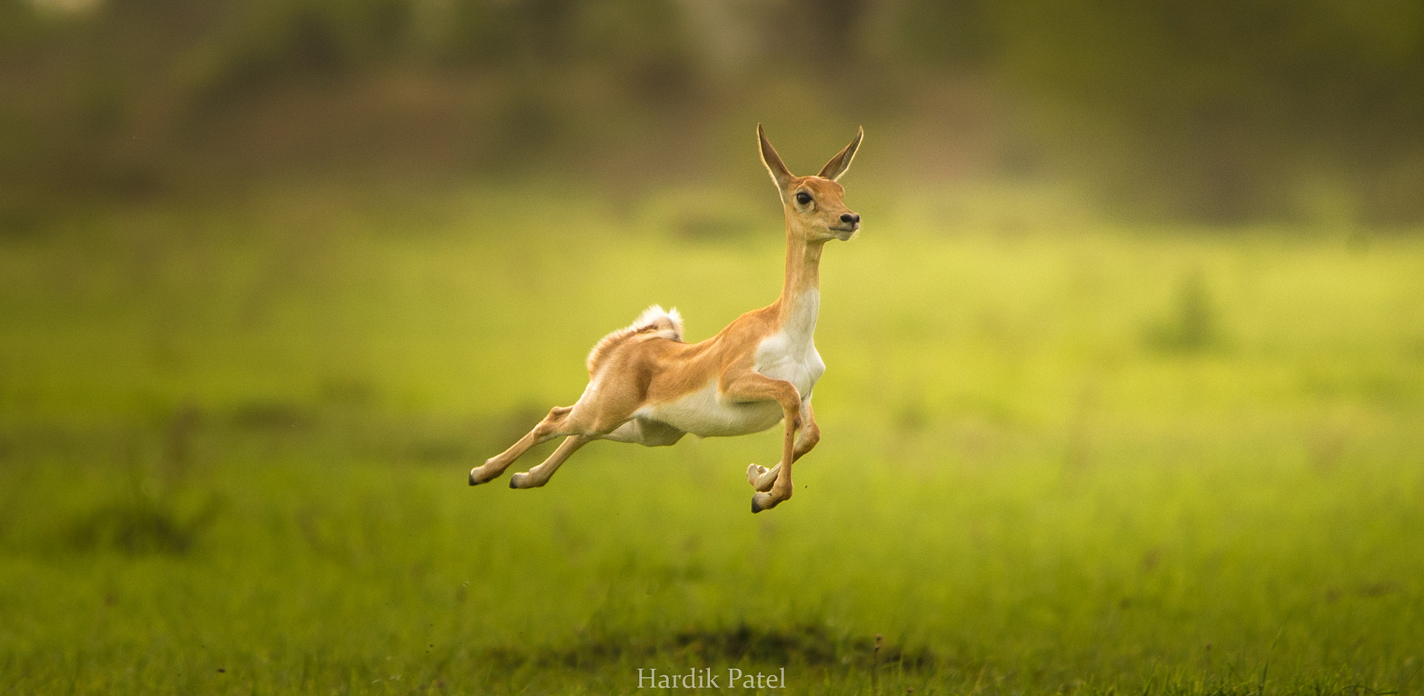 Nikon D4S sample photo. The speed.. photography