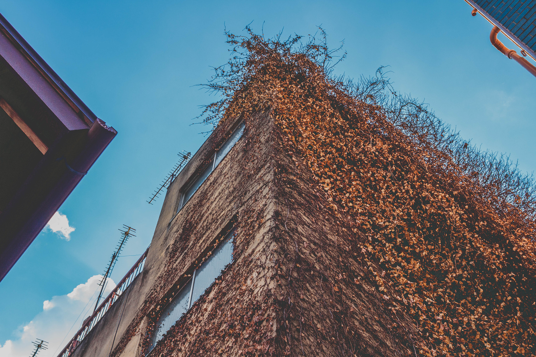 Canon EF 28mm F1.8 USM sample photo. Old building photography