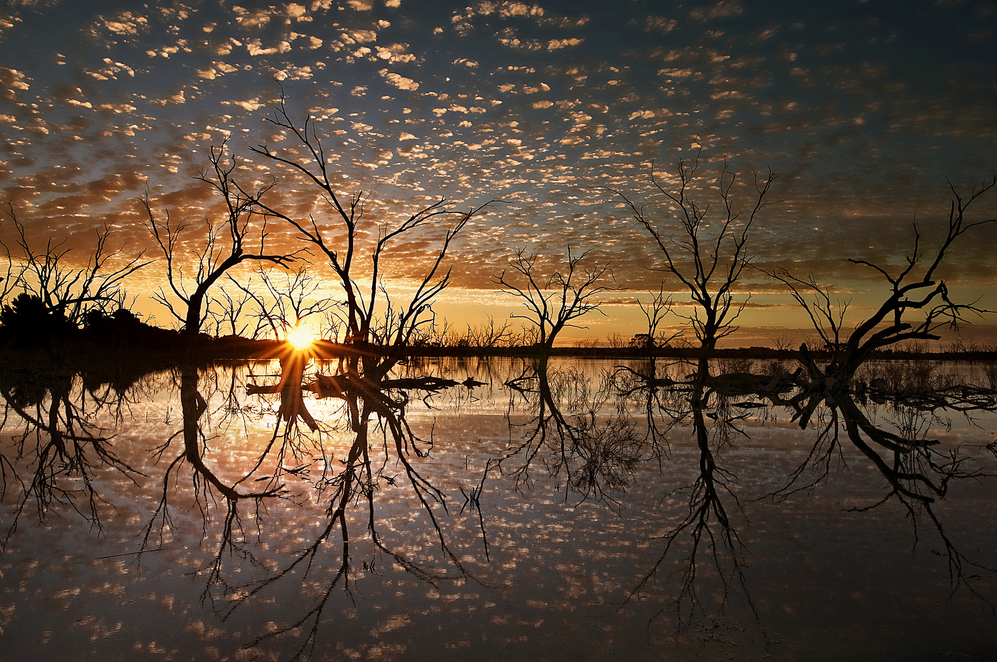 Nikon D300S sample photo. Mirror photography