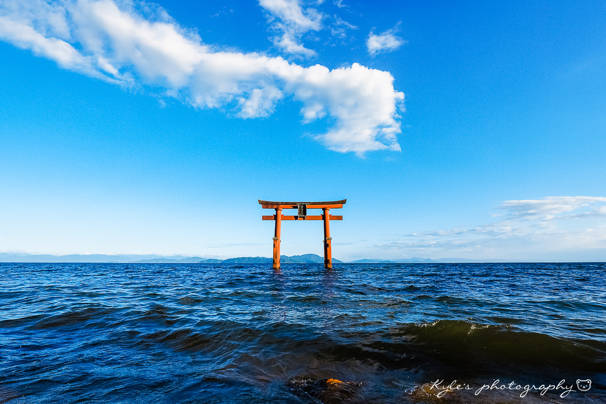 Olympus Zuiko Digital ED 9-18mm F4.0-5.6 sample photo. 白鬚神社 photography