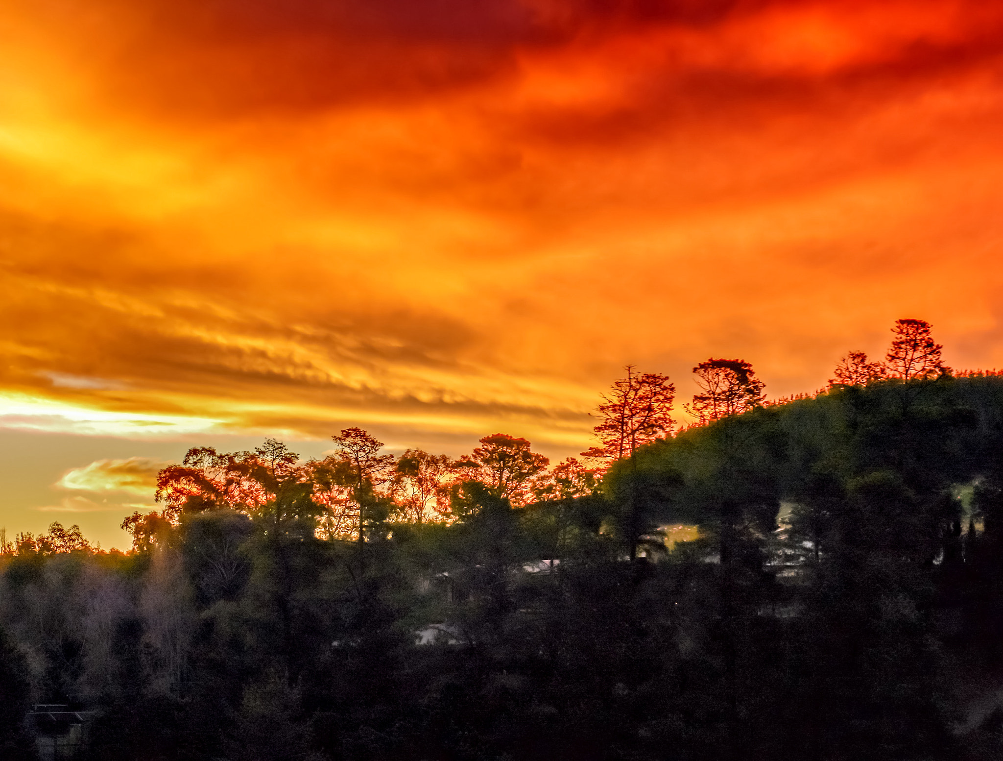 Panasonic DMC-GM1S sample photo. Somethings magical - location: scrivener dam, weston creek, act, australia photography