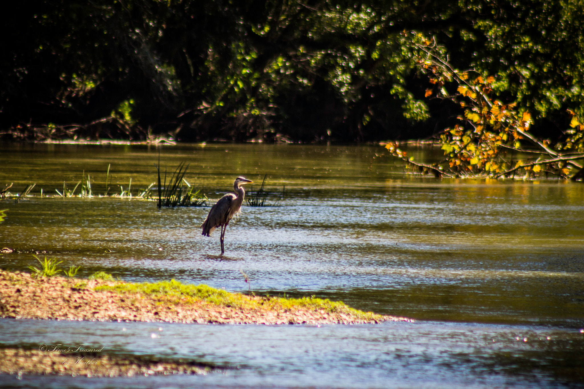 Canon EF 75-300mm f/4-5.6 USM sample photo. Summer time is drawing to a close for the river.   ... photography