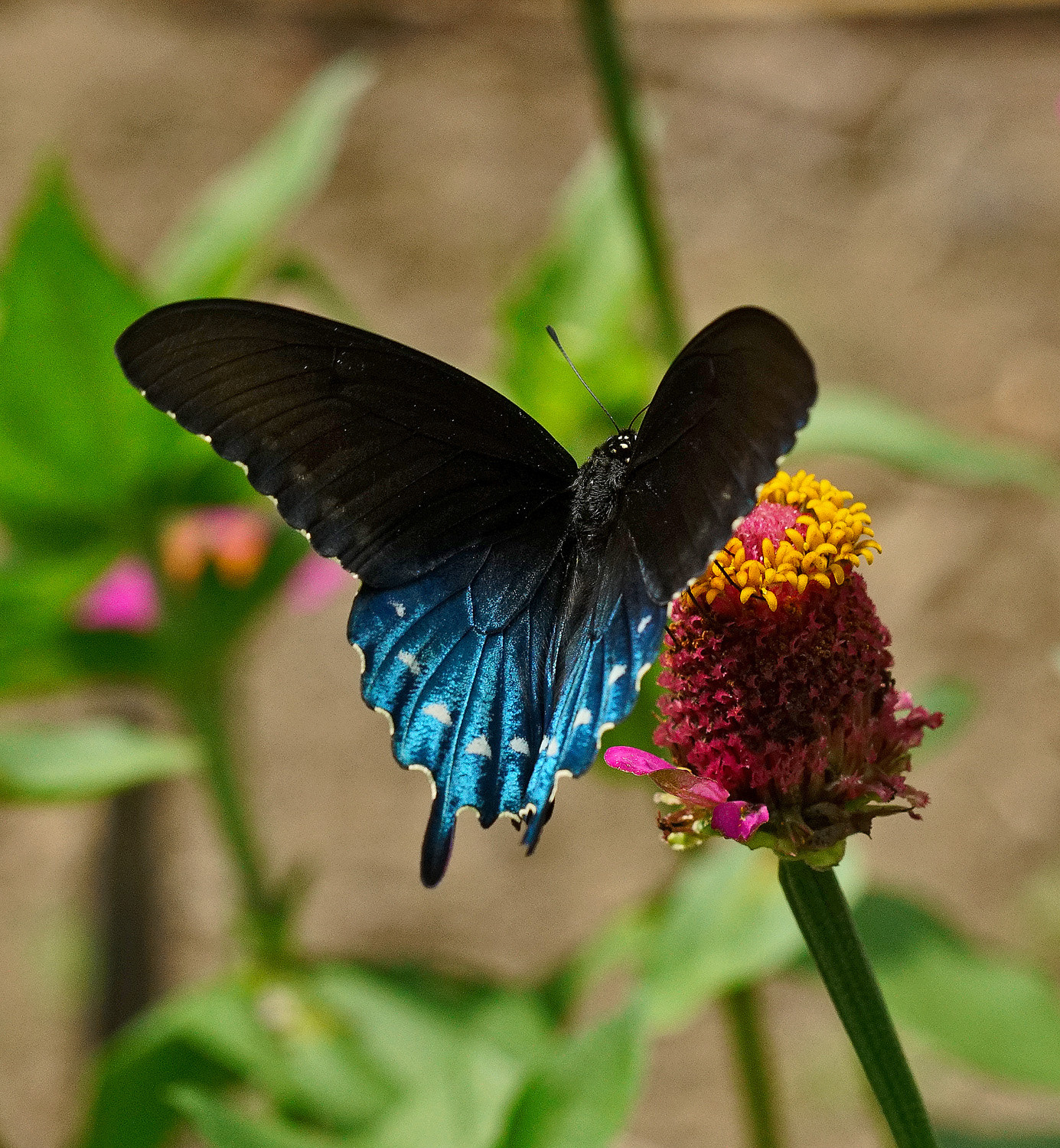 100mm F2.8 SSM sample photo. Blue reflections photography