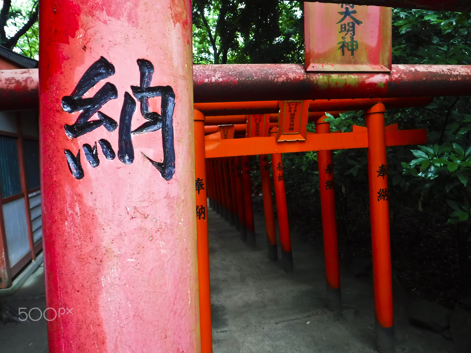 Fujifilm FinePix XP80 XP81 XP85 sample photo. Sumiyoshi shrine - fukuoka, japan photography