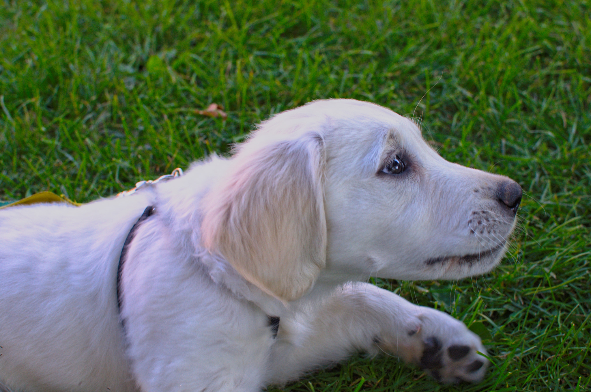 35.0mm F1.8 sample photo. Curiosity photography
