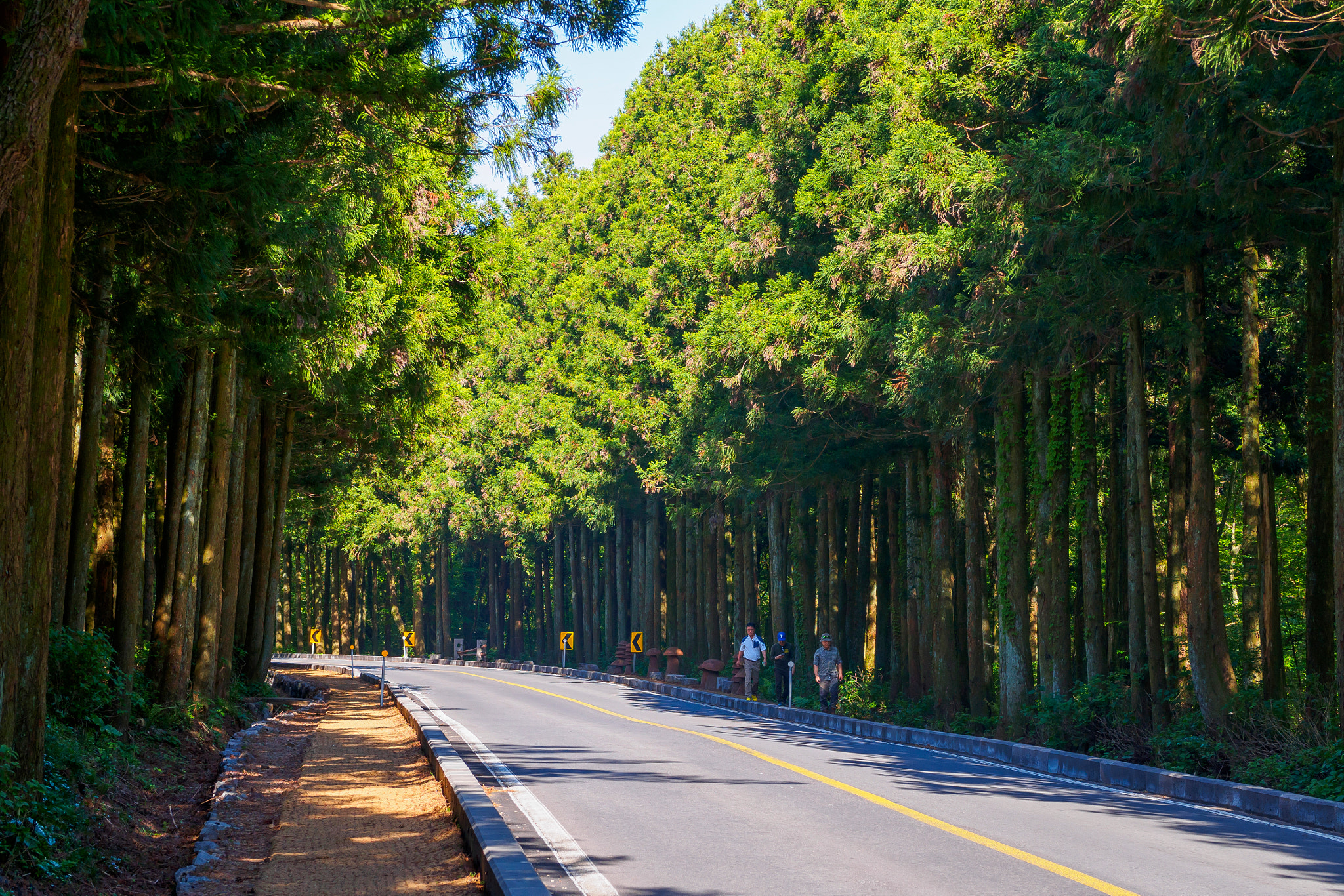 Panasonic Leica DG Nocticron 42.5mm F1.2 ASPH OIS sample photo. Jeju island photography