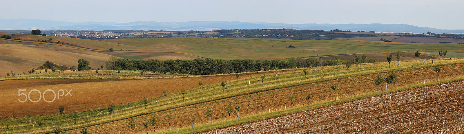 Canon EOS 600D (Rebel EOS T3i / EOS Kiss X5) + Sigma 105mm F2.8 EX DG Macro sample photo. Panorama look at the landscape from the Šardice mi photography