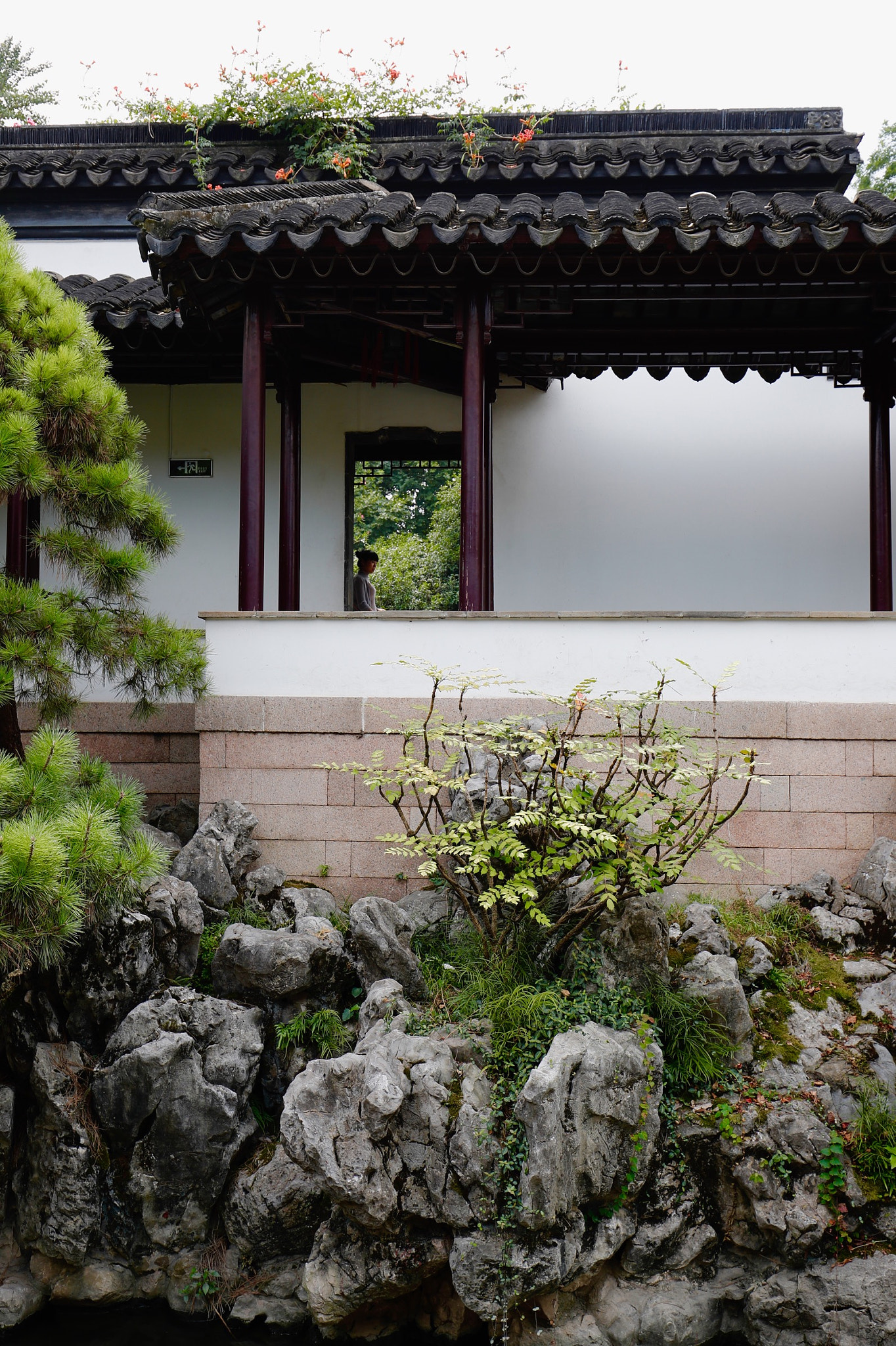 Canon EF 16-35mm F4L IS USM sample photo