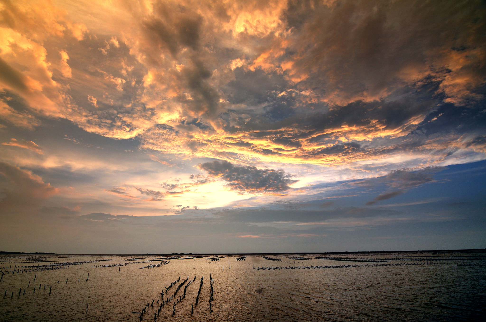 Nikon D300S sample photo. Fire sky photography