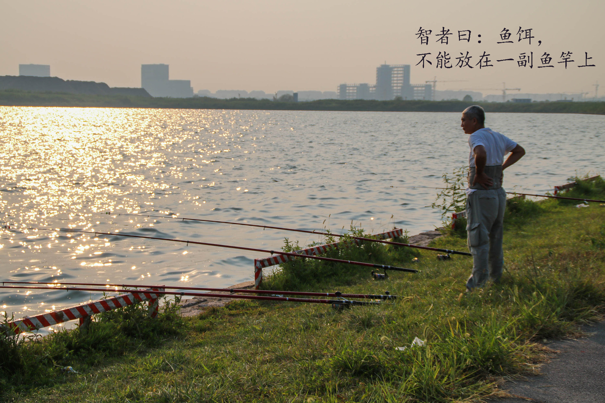 Canon EOS 750D (EOS Rebel T6i / EOS Kiss X8i) sample photo. 11.jpg photography