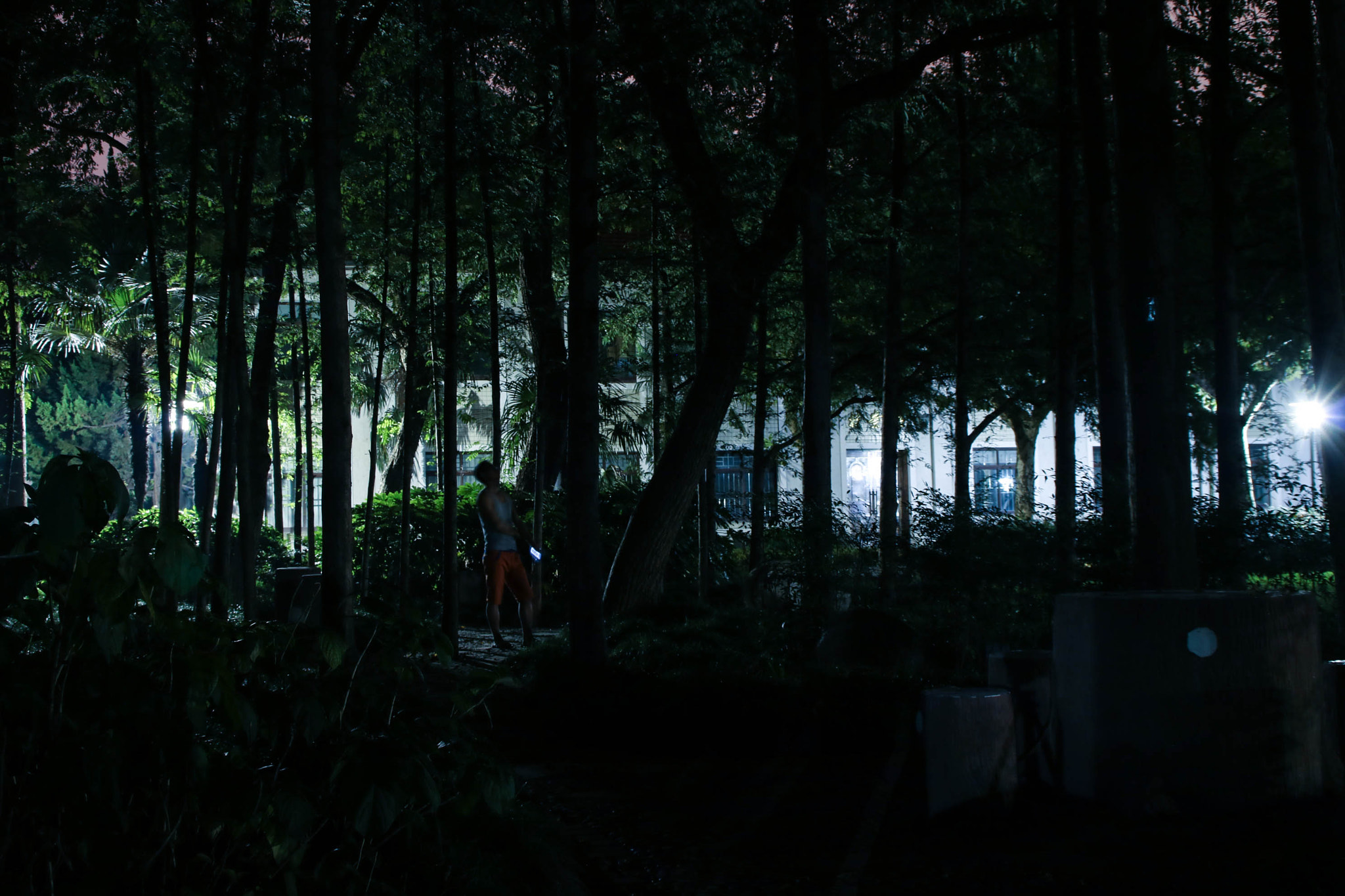 Canon EOS 750D (EOS Rebel T6i / EOS Kiss X8i) sample photo. Img photography