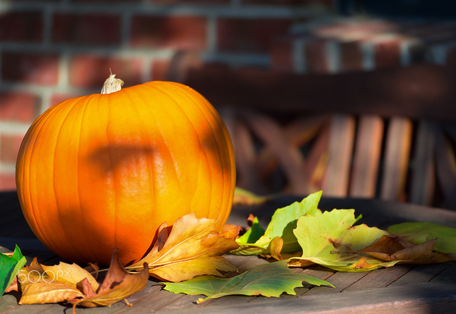 Olympus PEN E-P5 sample photo. Smiling pumpkin photography