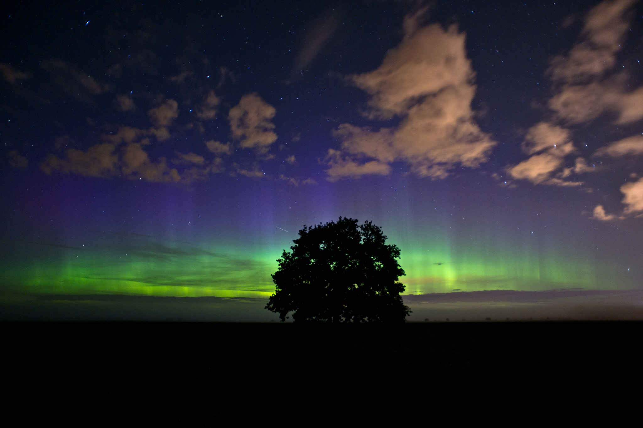 Nikon D3S sample photo. Tree has a dream... photography