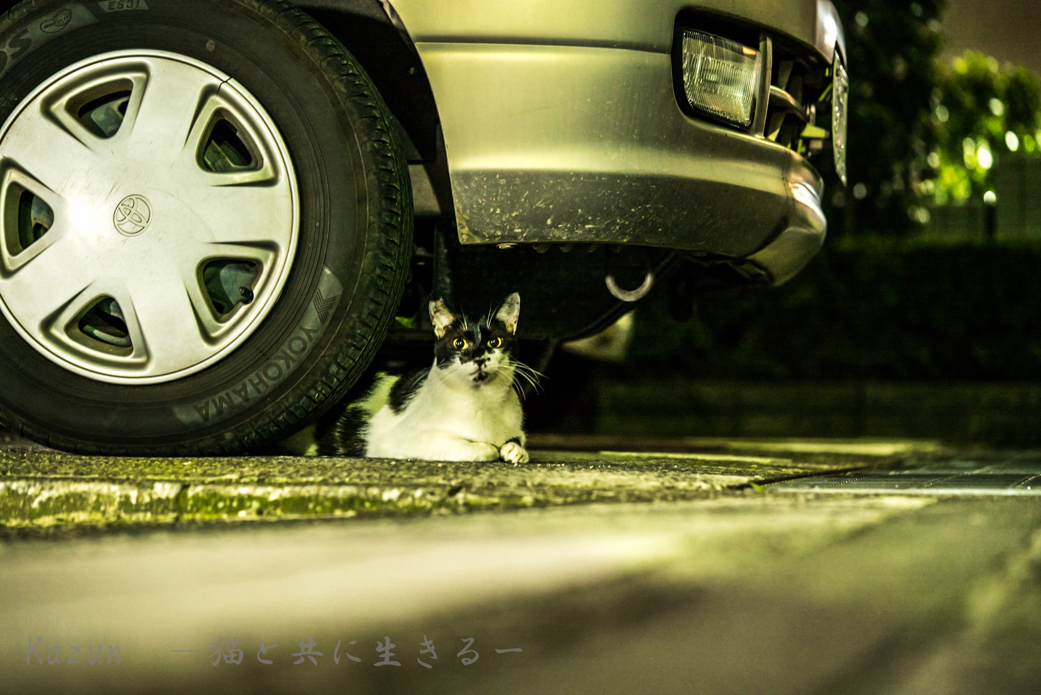 Sony a7S II + Sony FE 90mm F2.8 Macro G OSS sample photo. Hi!　friend! photography