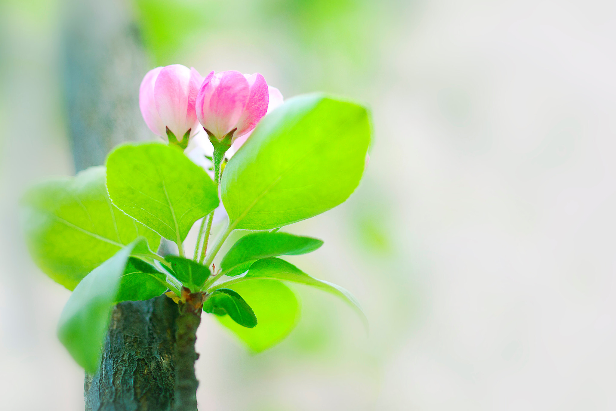 Canon EOS 5D Mark II + ZEISS Makro-Planar T* 50mm F2 sample photo. Waiting photography