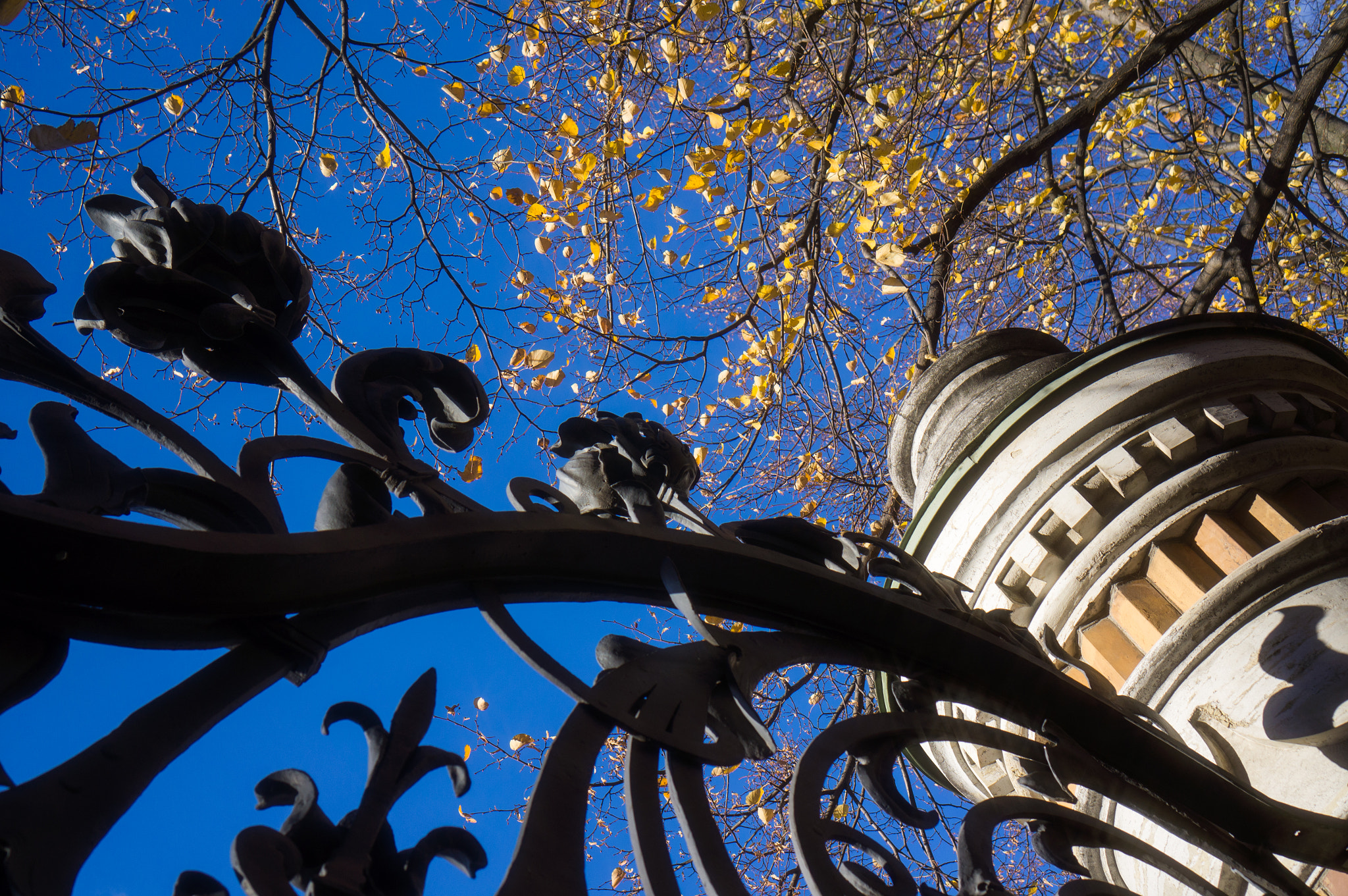 Sony E 35mm F1.8 OSS sample photo. Grate the mikhailovsky garden. photography