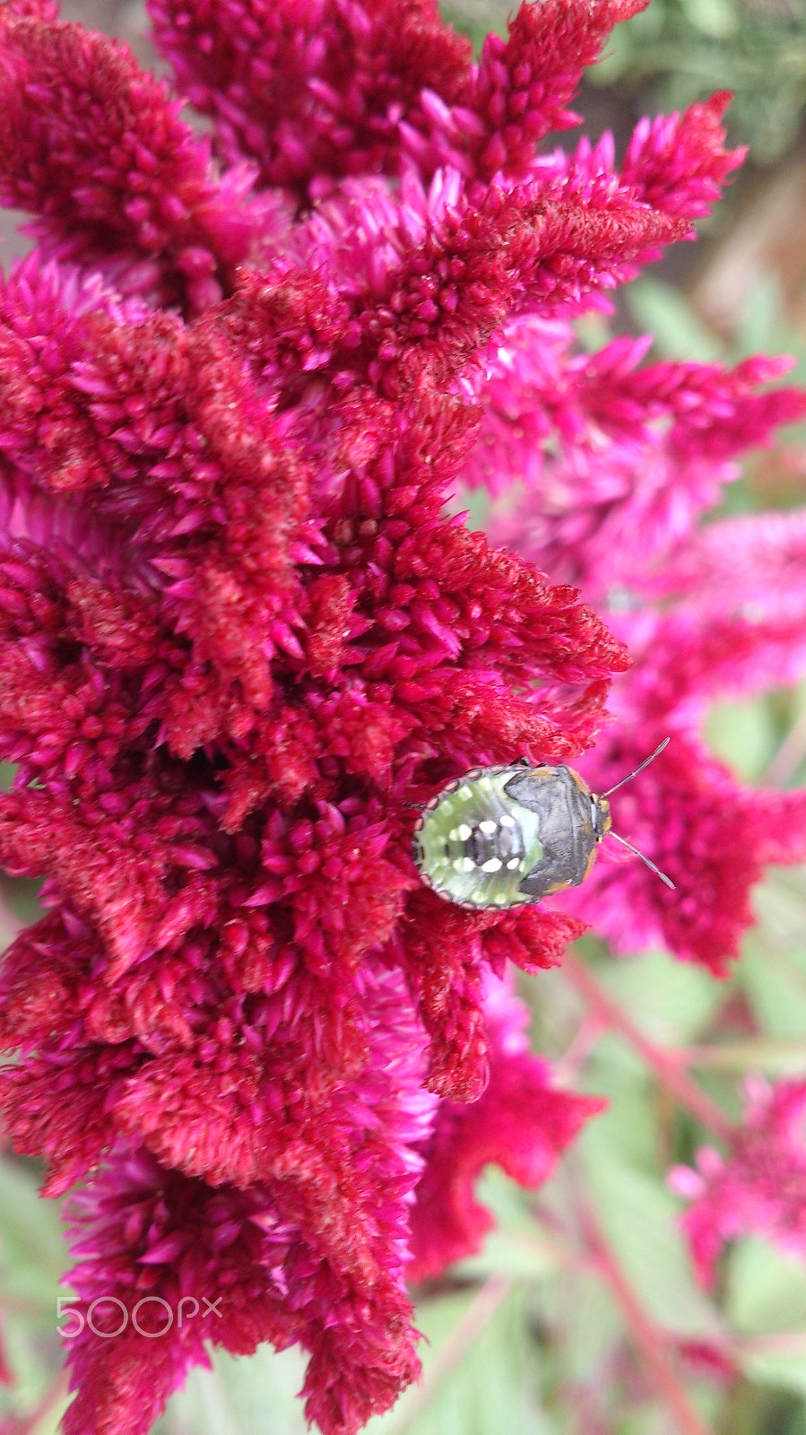 Sony Xperia T sample photo. Untitled photography