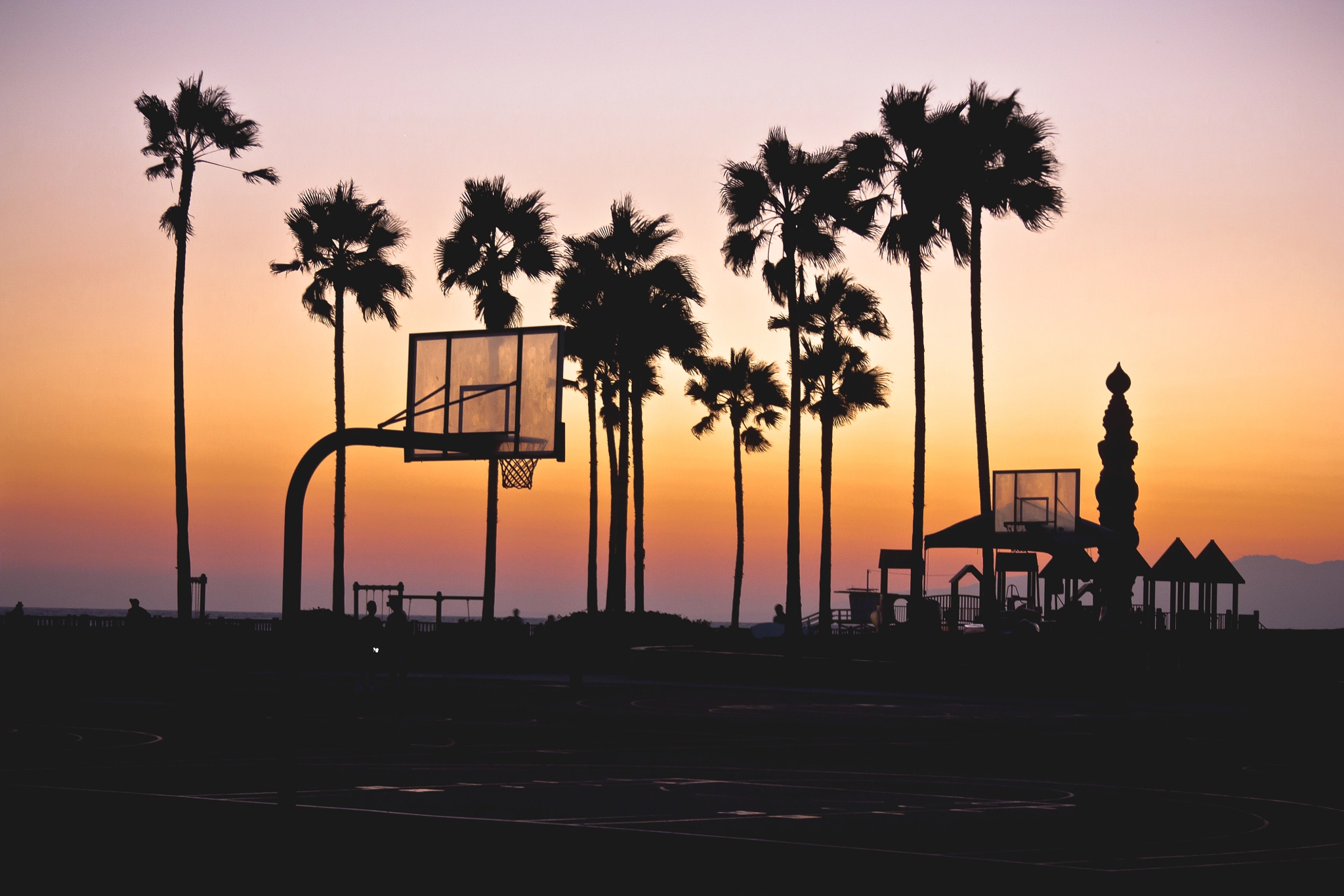 Canon EF 28-135mm F3.5-5.6 IS USM sample photo. Ballin on venice beach photography