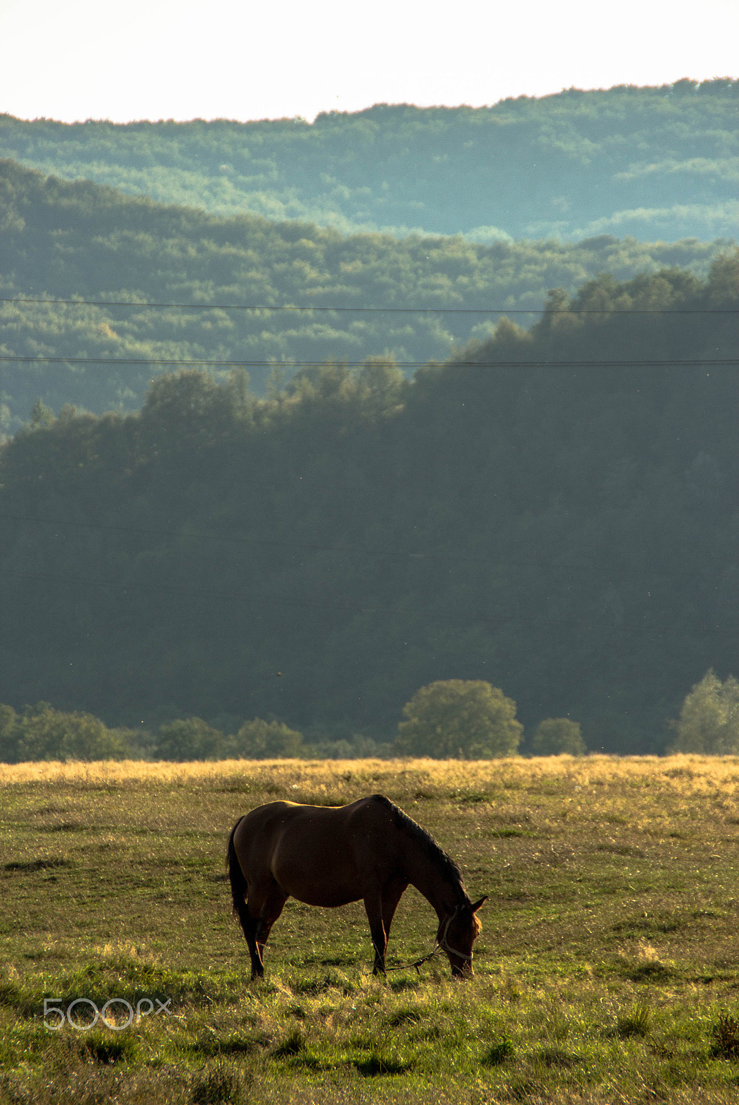 Canon EOS 650D (EOS Rebel T4i / EOS Kiss X6i) sample photo. Countryside photography