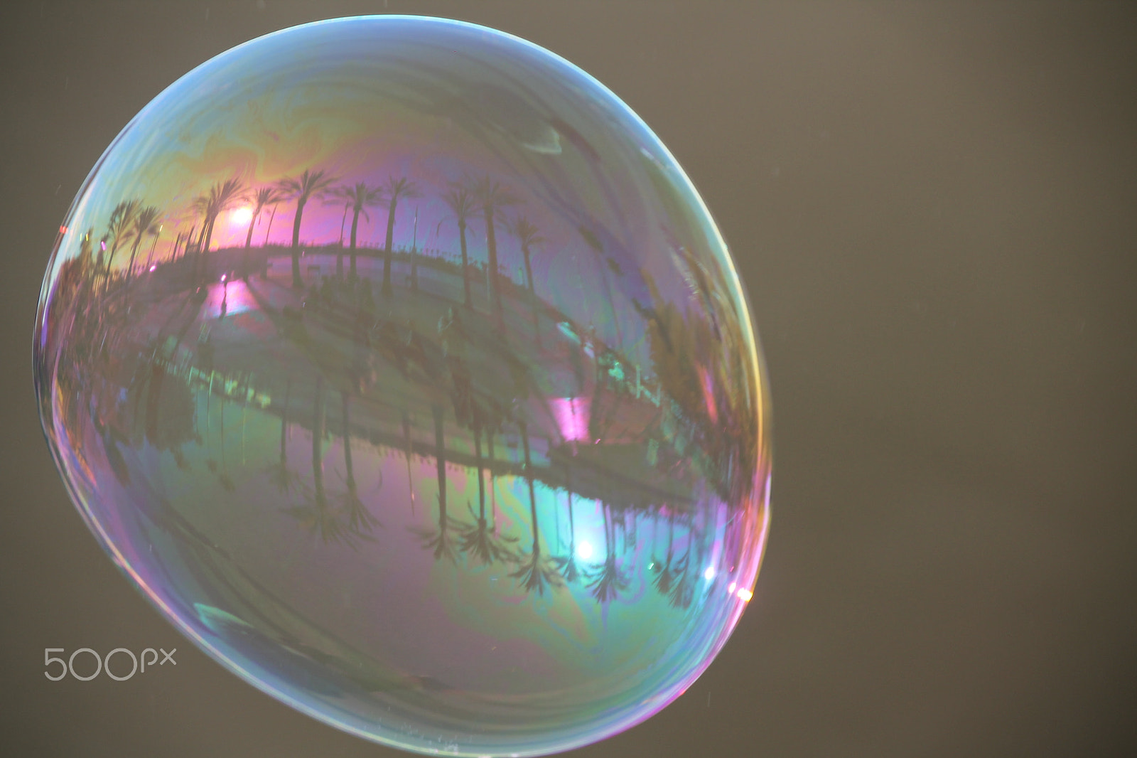 Canon EOS 1100D (EOS Rebel T3 / EOS Kiss X50) sample photo. Lonely bubble photography