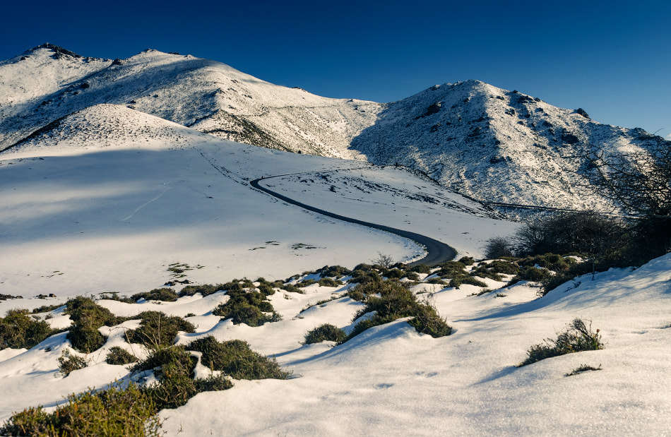 AF Zoom-Nikkor 28-85mm f/3.5-4.5 sample photo. Winter photography