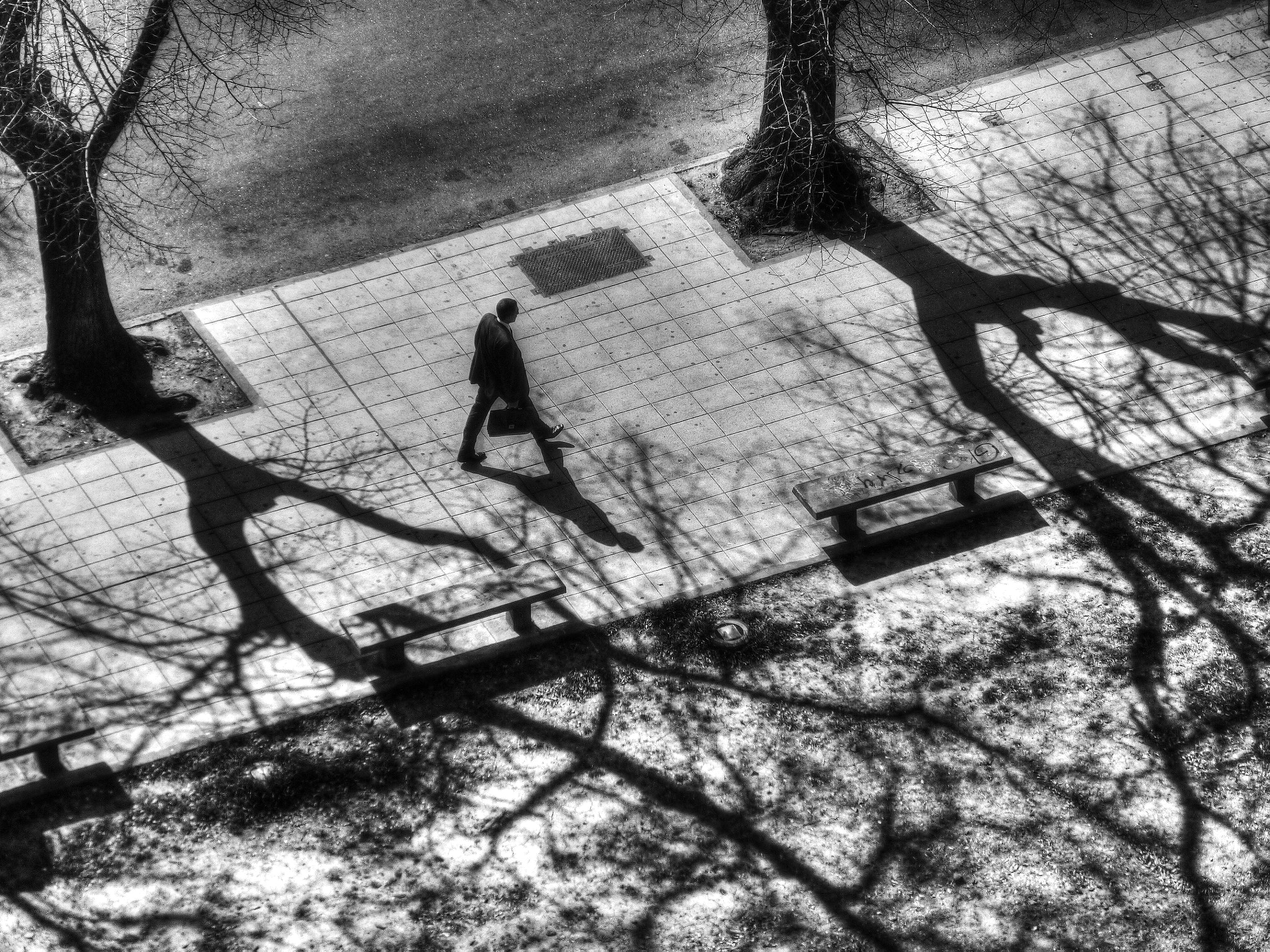 Panasonic Lumix DMC-ZS20 (Lumix DMC-TZ30) sample photo. Sombras photography